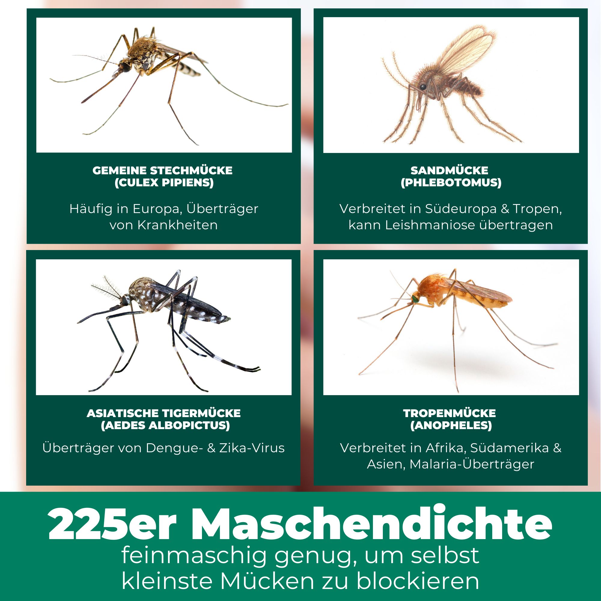 SILBERKRAFT Moskitonetz mit Haken