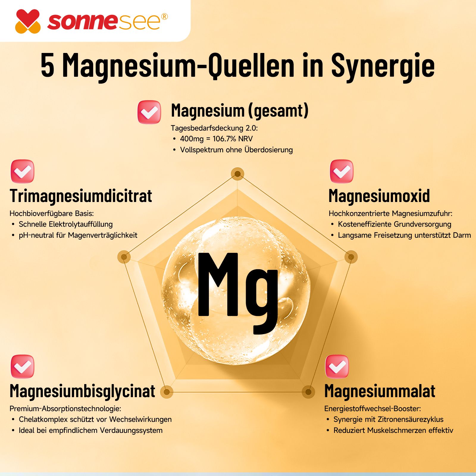 Infografik: 5 Magnesium-Quellen in Synergie mit dem chemischen Symbol Mg.
