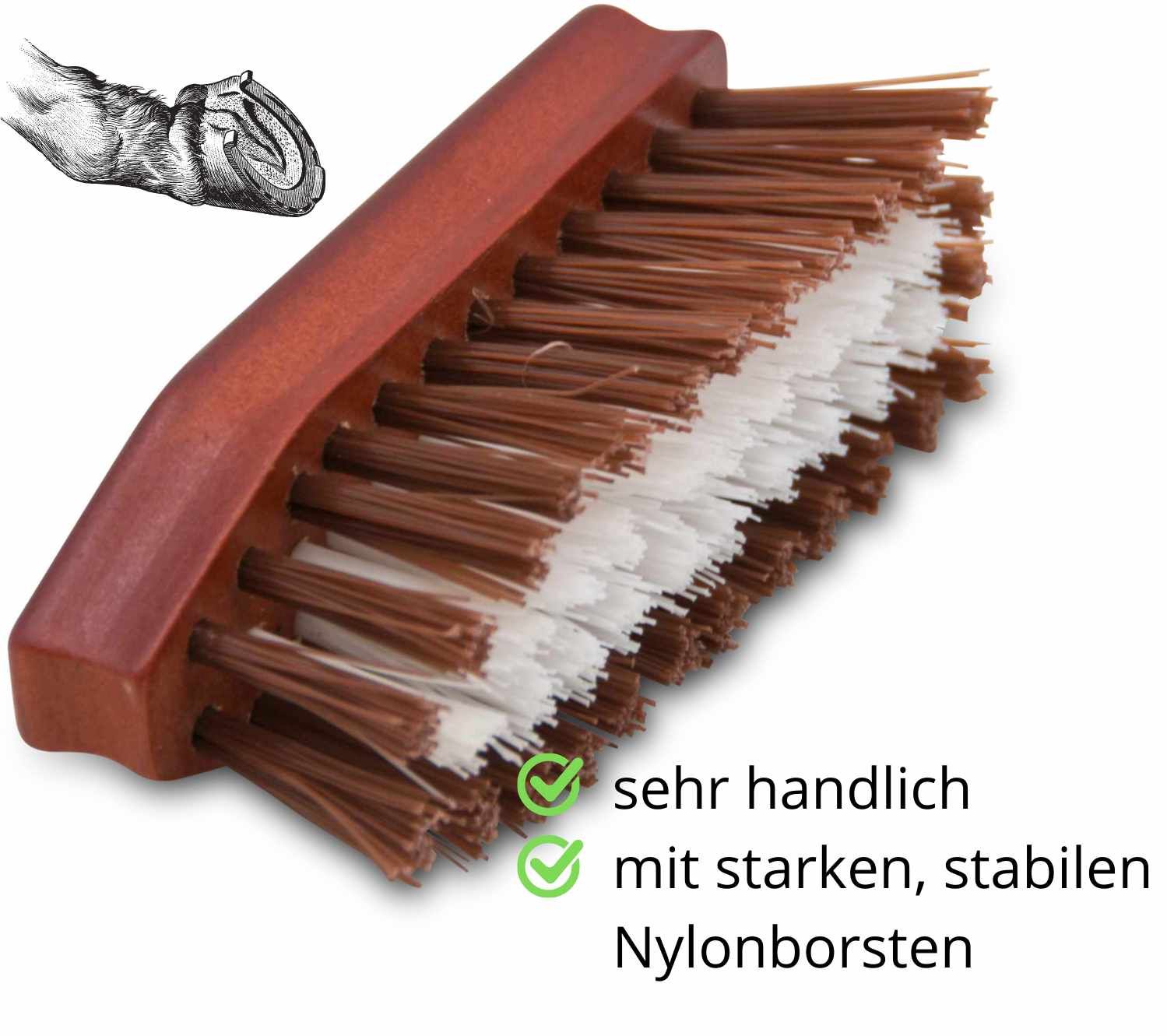 AMKA Hufbürste Classic mit