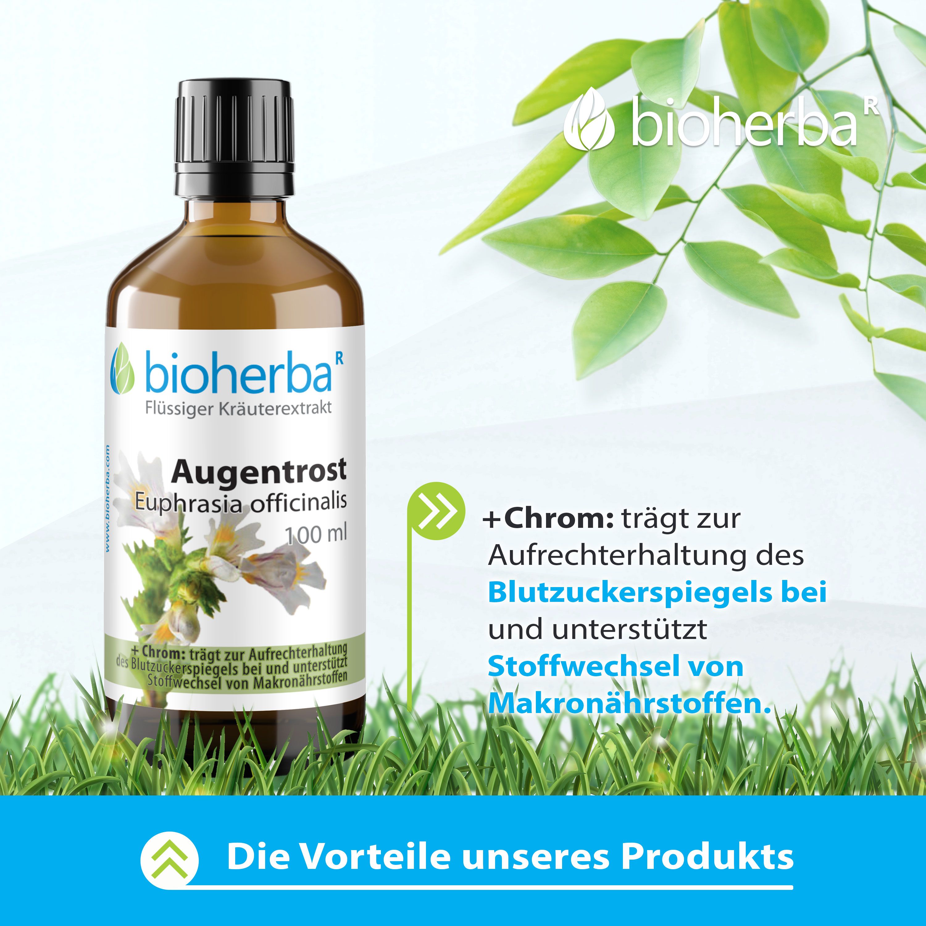 Bioherba Augentrost Euphrasia officinalis Tropfen Tinktur
