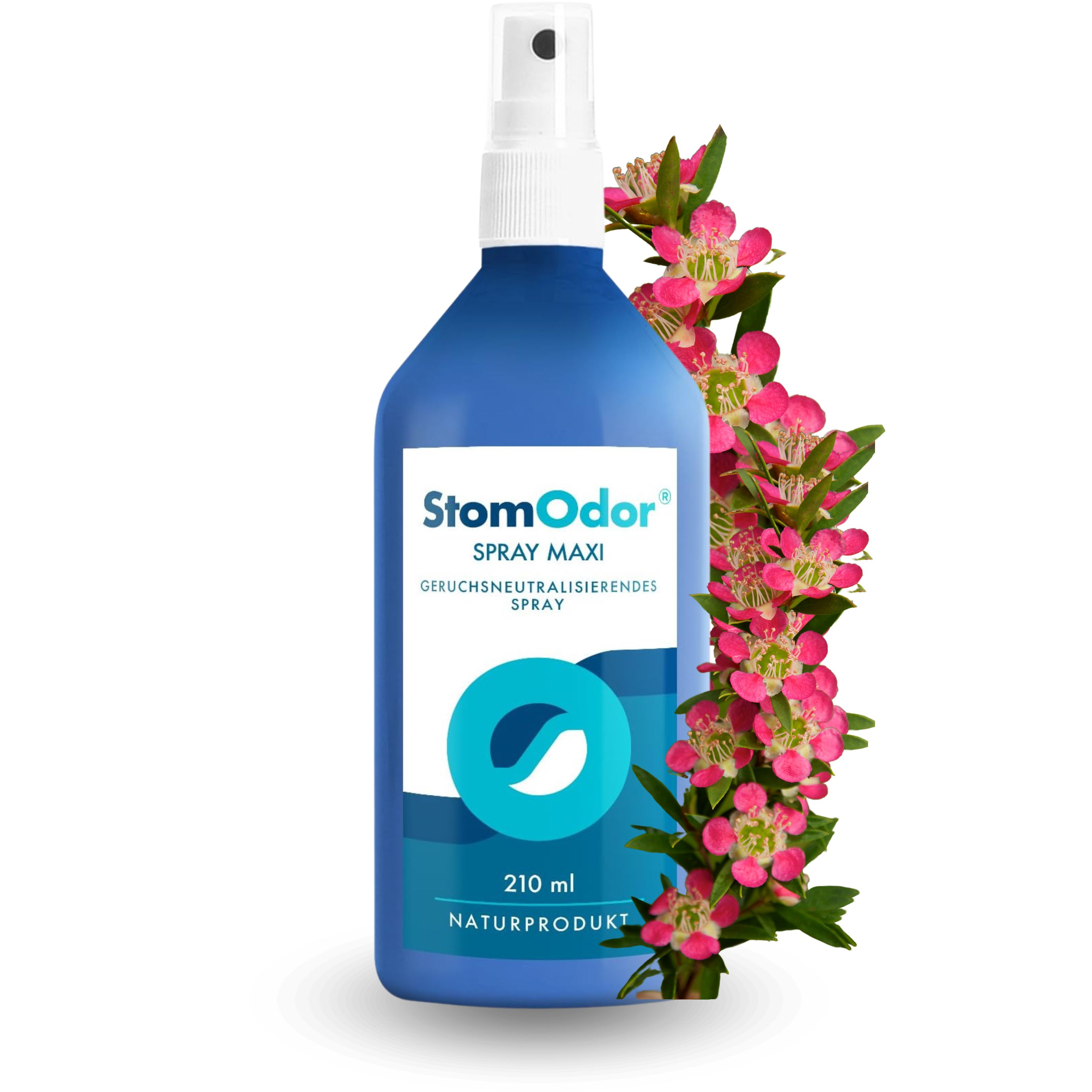STOMODOR MAXI Spray Boroniaduft