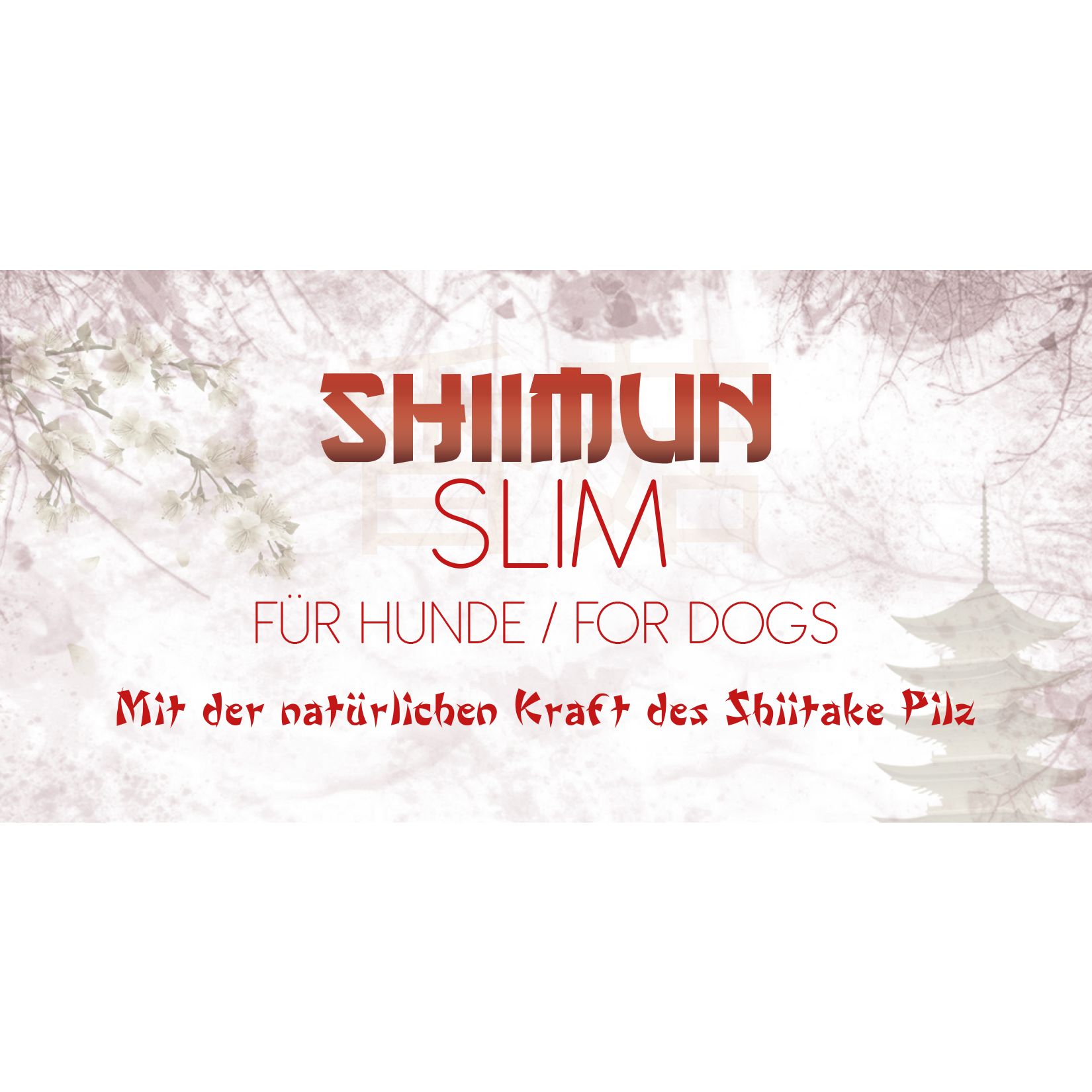 Banner mit Schriftzug SHIIMUN SLIM. Text: Für Hunde/For Dogs. Mit der natürlichen Kraft des Shiitake Pilz.
