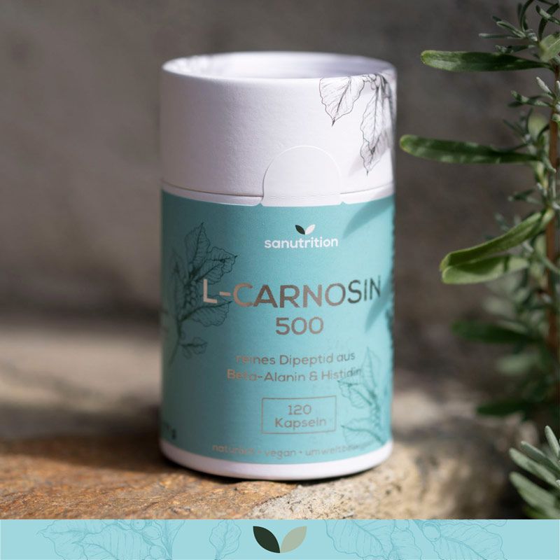 Zylindrische Dose Sanutrition L-Carnosin 500. Türkis-weißes Etikett mit Produktinformationen und 120 Kapseln. Natürliche Umgebung.