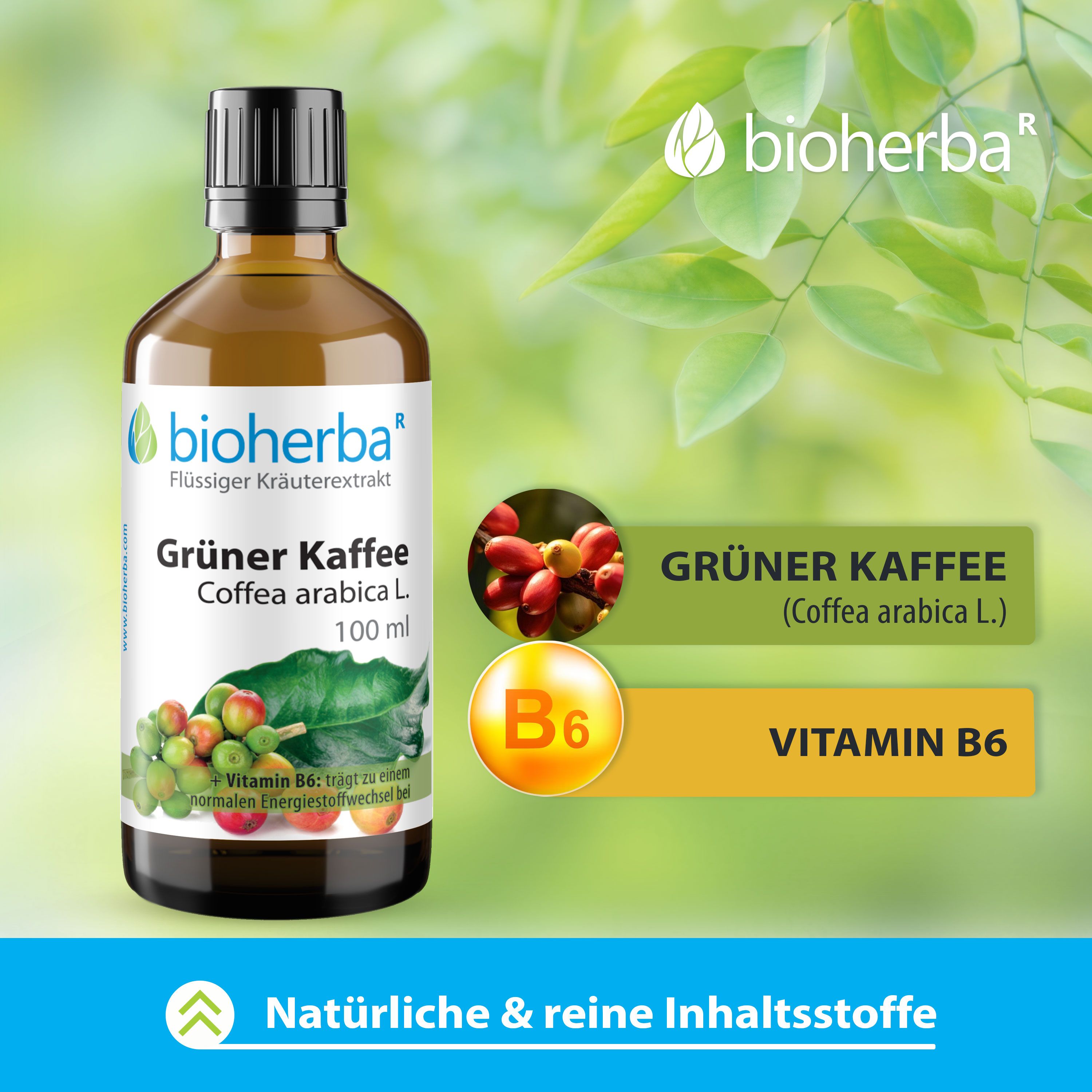 Braune Glasflasche Bioherba Grüner Kaffee. Abbildung von Kaffeebohnen und Blättern. Vitamin B6.