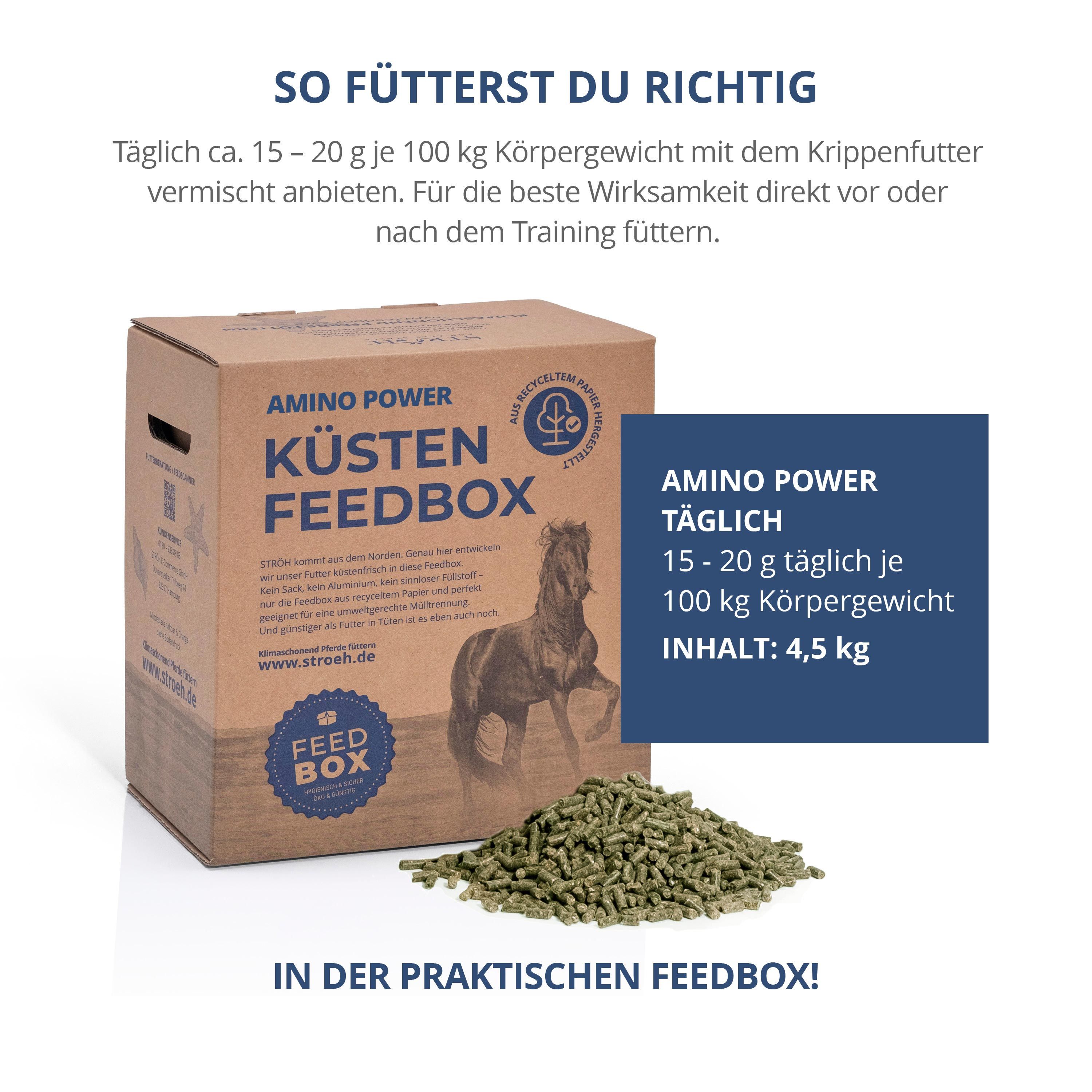 Karton "Amino Power Küsten Feedbox" mit Futterpellets. Text: So fütterst du richtig. Brauner Karton, grüne Pellets. Text: 4,5 kg.