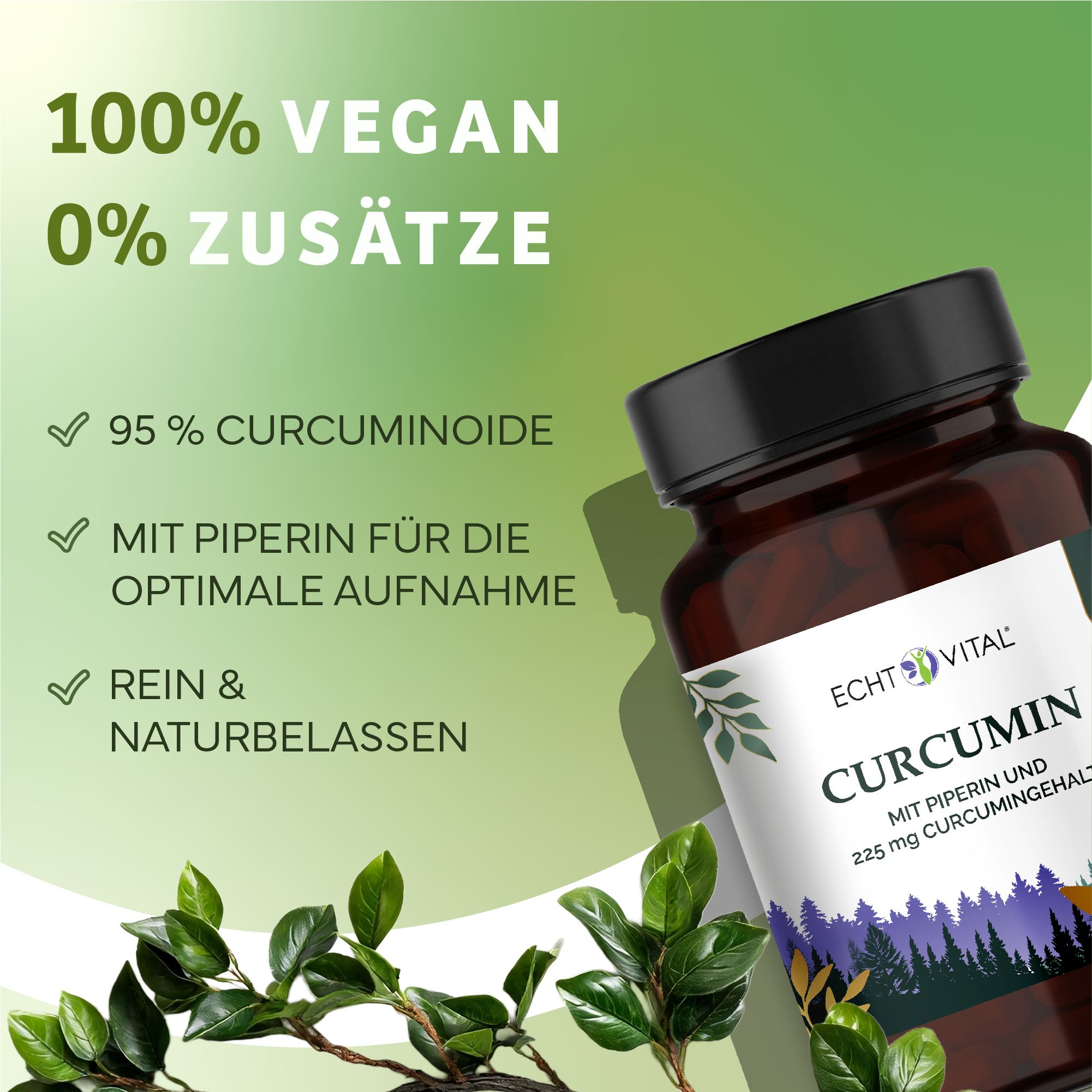 Braune Glasflasche mit schwarzem Deckel. Aufschrift: Echt Vital Curcumin. Grün-weiße Etikett mit Produktinformationen. Hintergrund mit Blättern.