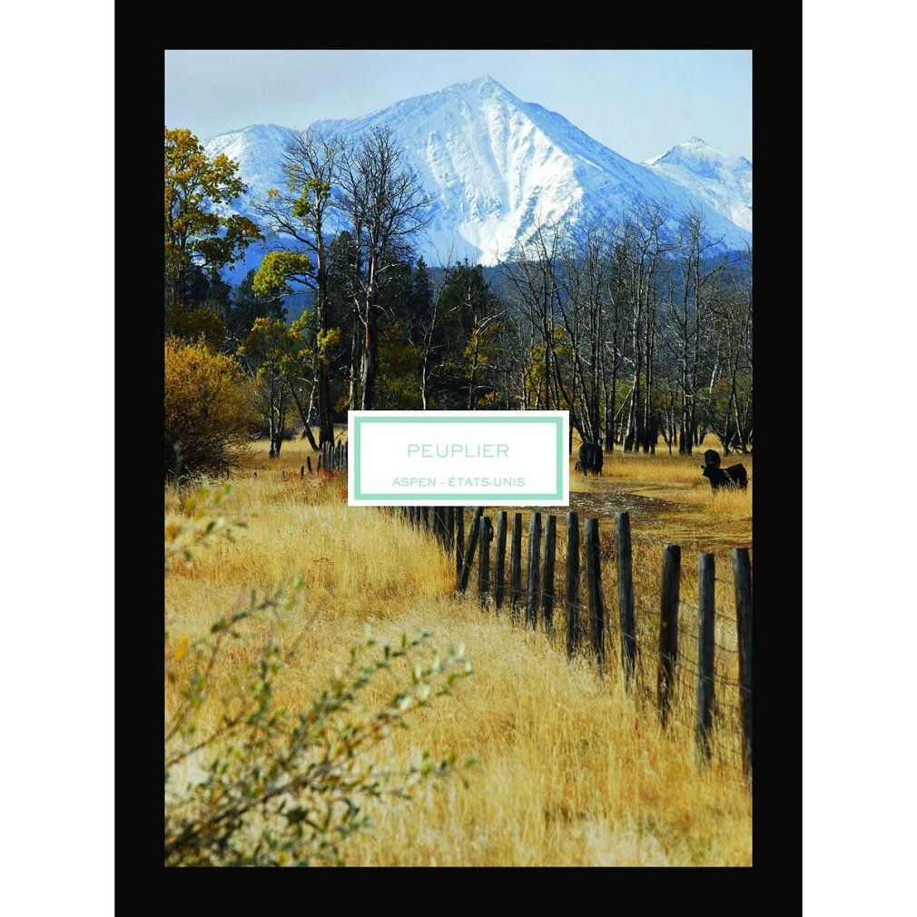 Landschaftsfoto mit Berg, Feld und Zaun. Text: PEUPLIER, ASPEN - ÉTATS-UNIS, in einem rechteckigen Rahmen.