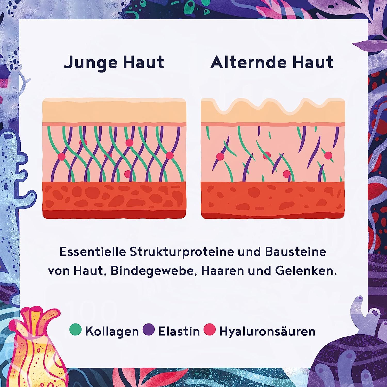 Marine Collagen mit Hyaluronsäure Kapseln - Meeres Kollagen Hydrolysat & Marines Elastin