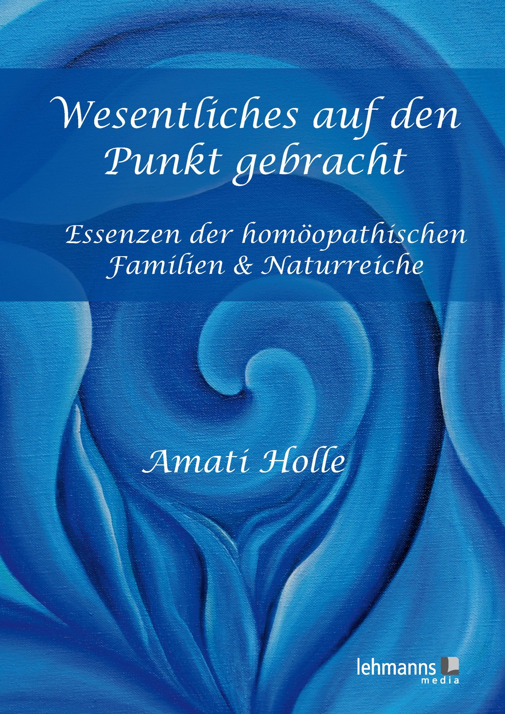 Buchcover mit Titel "Wesentliches auf den Punkt gebracht". Autor: Amati Holle. Verlag: lehmanns media. Blauer Hintergrund.