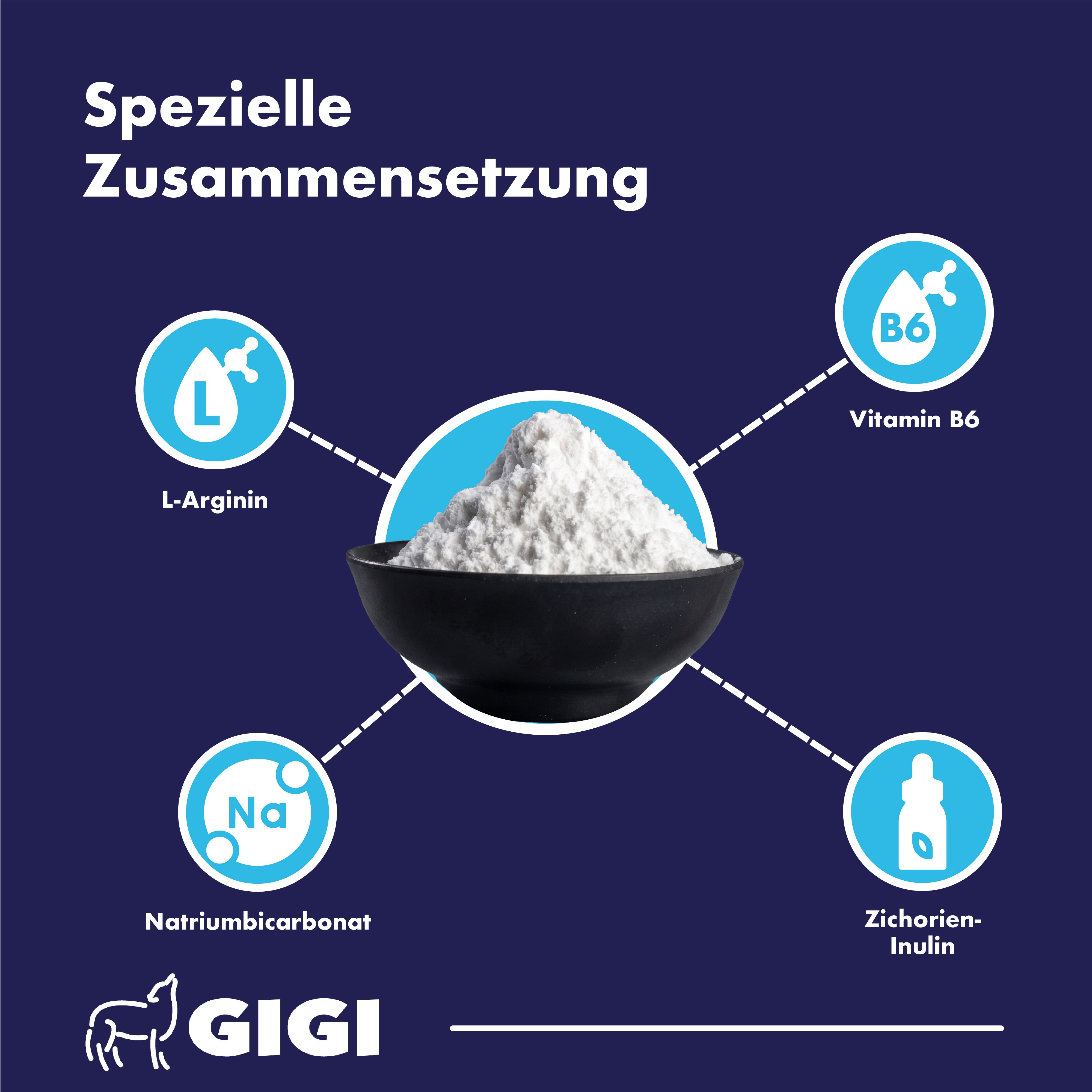 Schüssel mit Pulver umgeben von Icons: L-Arginin, Natriumbicarbonat, Vitamin B6, Zichorien-Inulin.