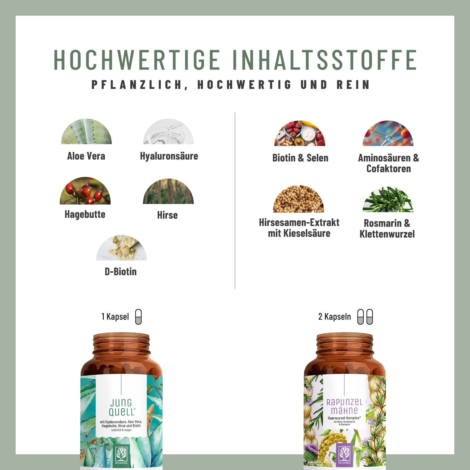 Infografik mit Inhaltsstoffen. Aloe Vera, Hyaluronsäure, Biotin & Selen, Aminosäuren & Cofaktoren, Hagebutte, Hirse, Rosmarin & Klettenwurzel.