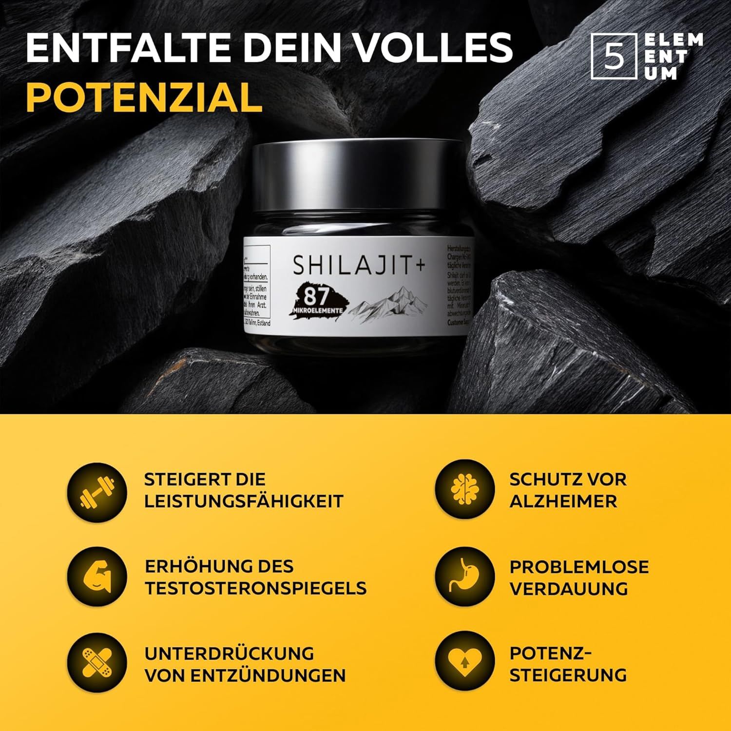 5Elementum Shilajit