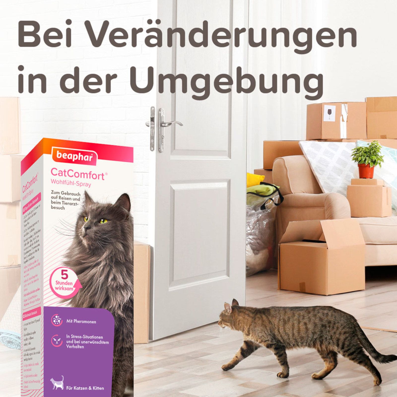 Beaphar CatComfort Wohlfühl-Spray für Katzen 60 ml Spray