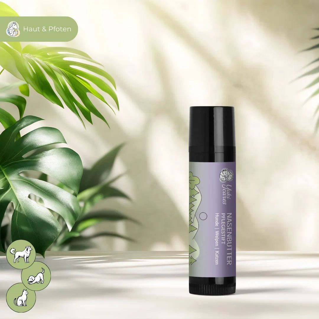 Pflegestift Nasenbutter, schwarz-lila, mit Logo und Text. Grünpflanzen im Hintergrund.