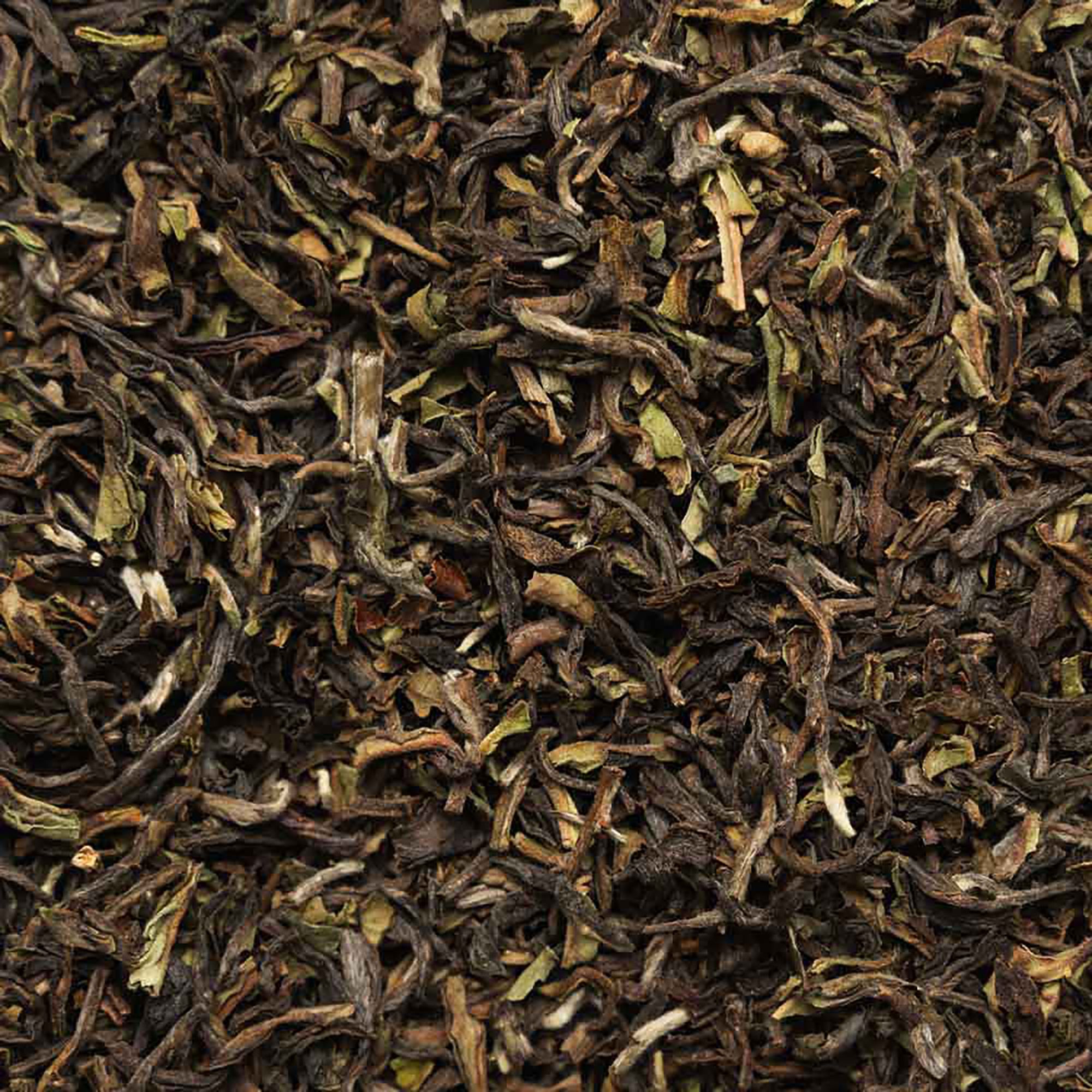 Biotiva Darjeeling First Flush Bio