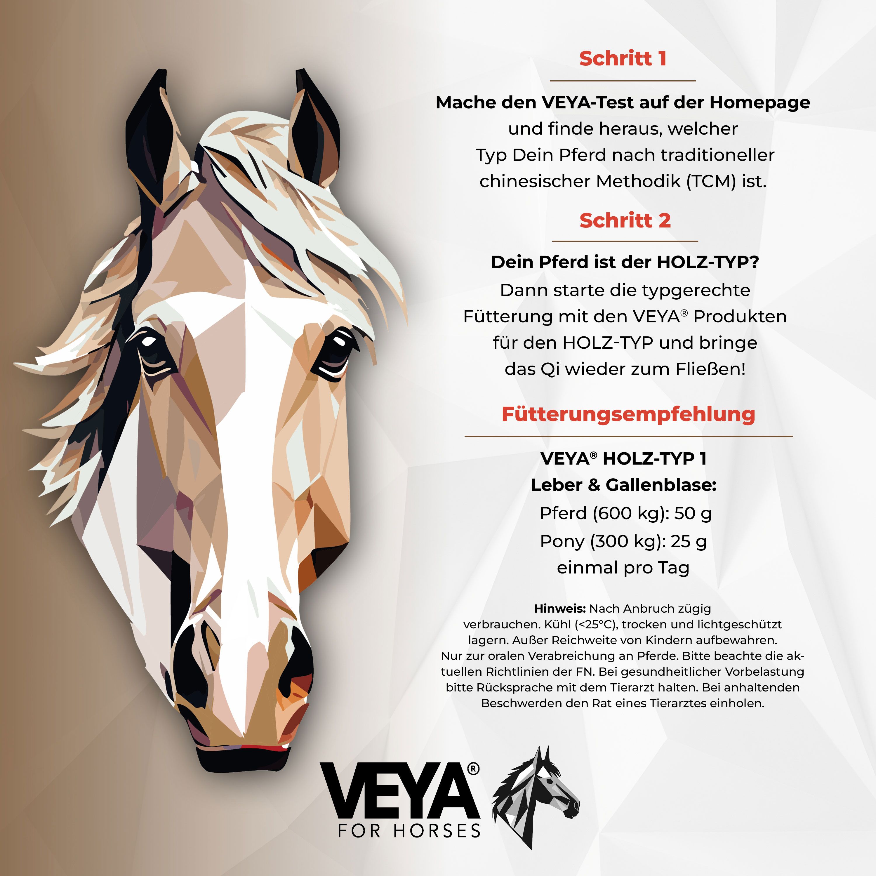 VEYA HOLZ-TYP 1 Leber & Gallenblase