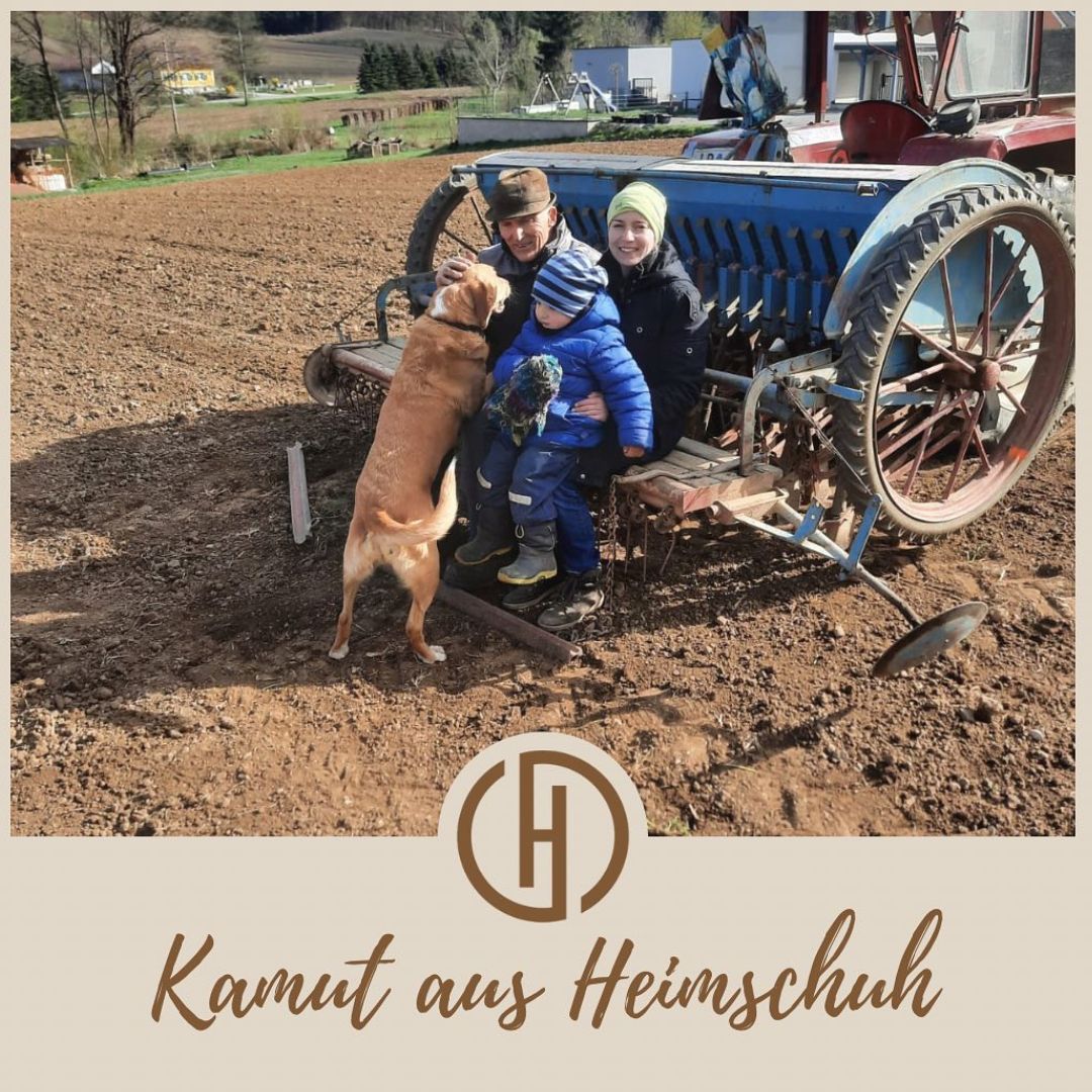 Familie mit Hund auf einem Traktor. Text: "Kamut aus Heimschuh".