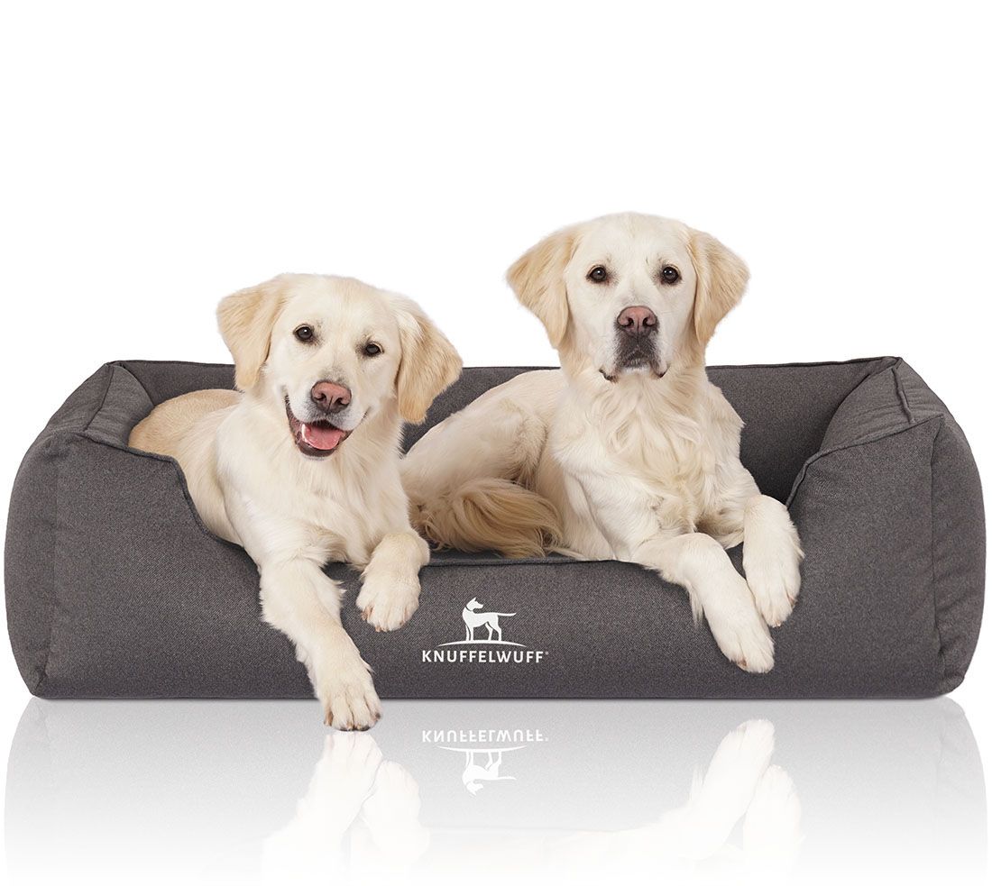 Zwei Hunde auf grauem orthopädischen Hundebett Leon. Knuffelwuff Logo. Hunde liegen entspannt.