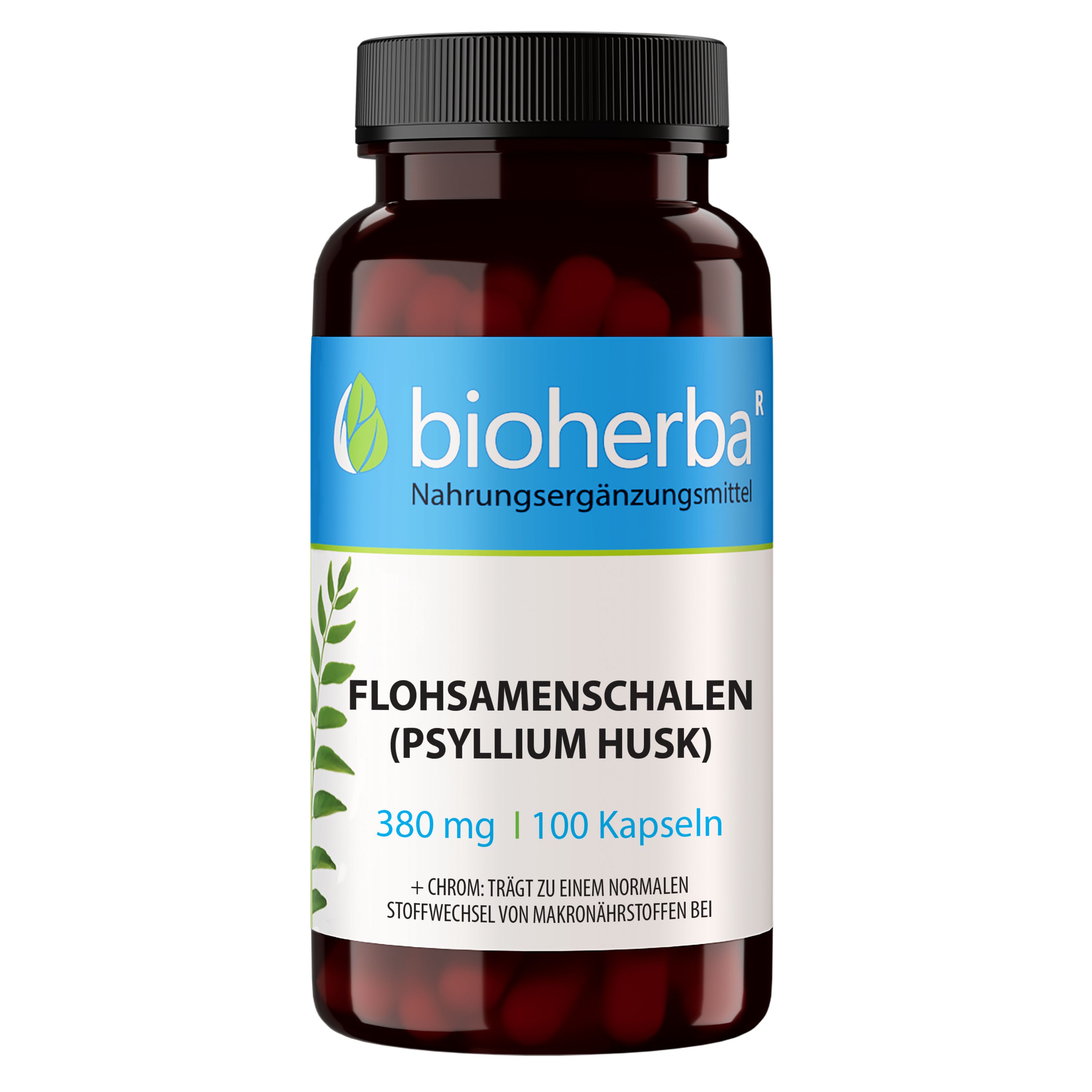Bioherba Flohsamenschalen (Psyllium Husk) Kapseln