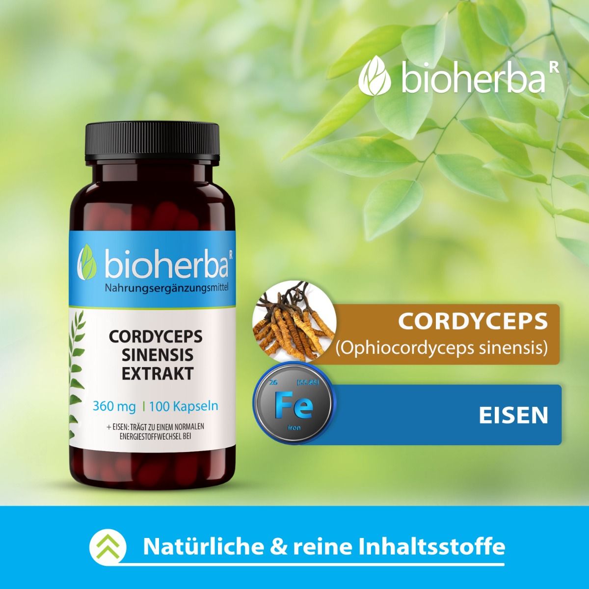 Cordyceps Sinensis Extrakt 360 mg 100 Kapseln PZN 17190298