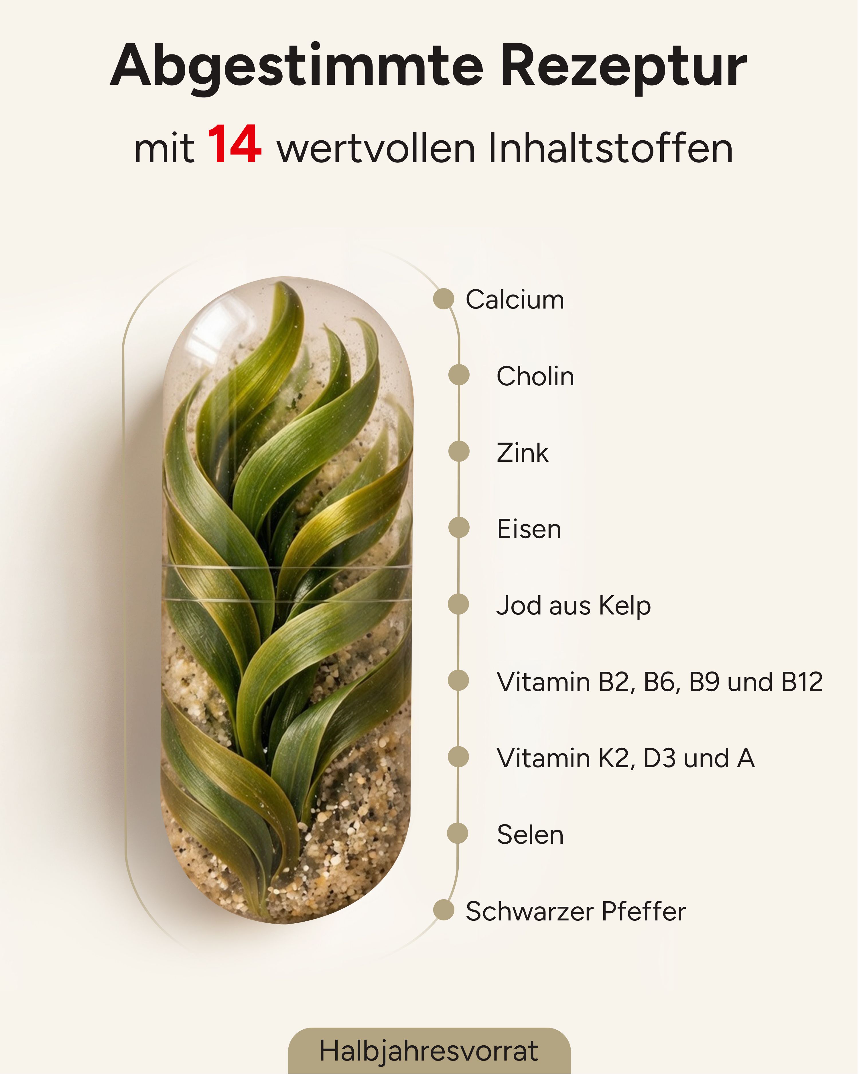 plantomol® Vegan All In One - 6 Monatsvorrat mit Spurenelementen Vitaminen A bis Z & Mineralstoffen
