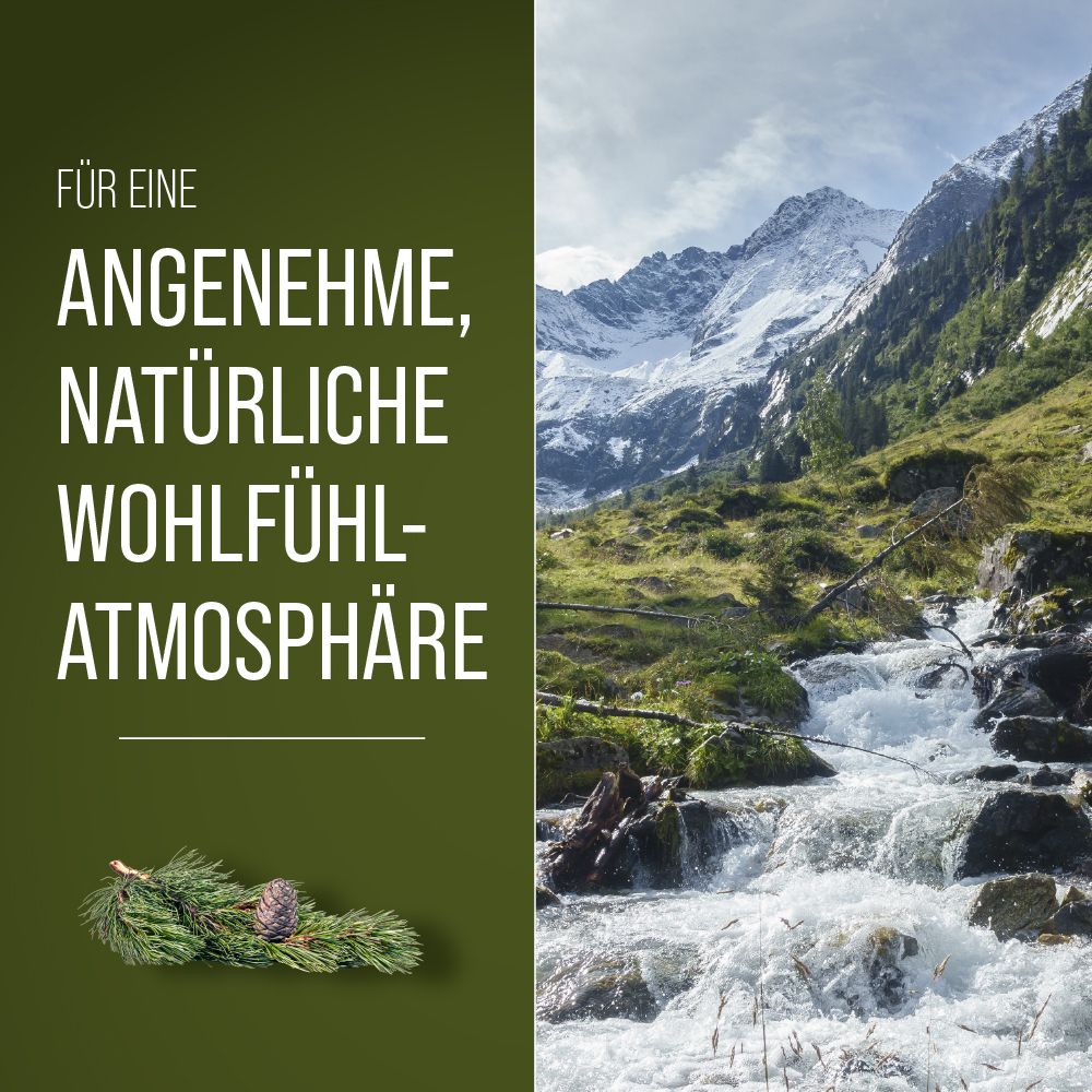 Text FÜR EINE...ATMOSPHÄRE. Berglandschaft mit Wasserlauf. Kiefernzweig mit Zapfen.