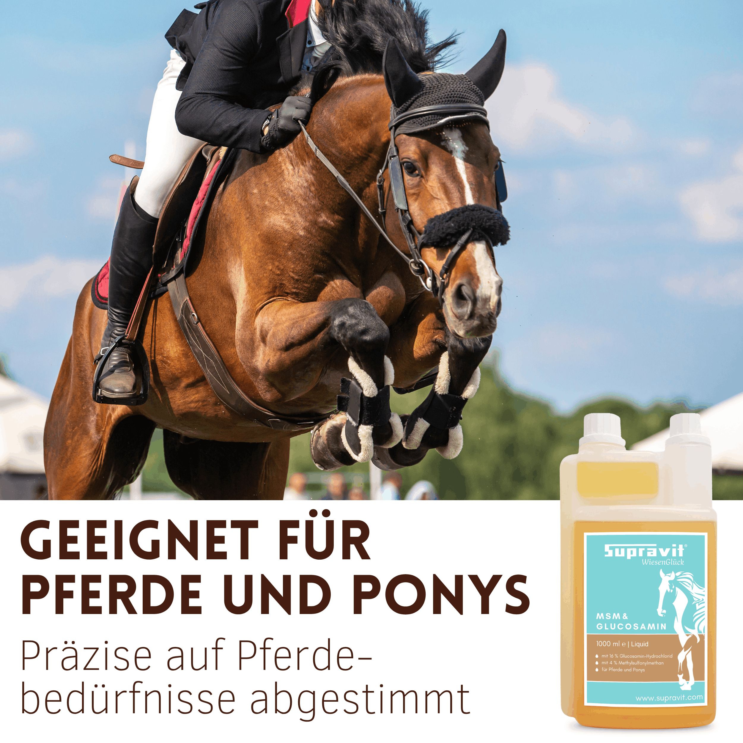 Flüssiges Ergänzungsfuttermittel. Aufschrift: Supravit. Geeignet für Pferde und Ponys. Pferd springt über Hindernis.