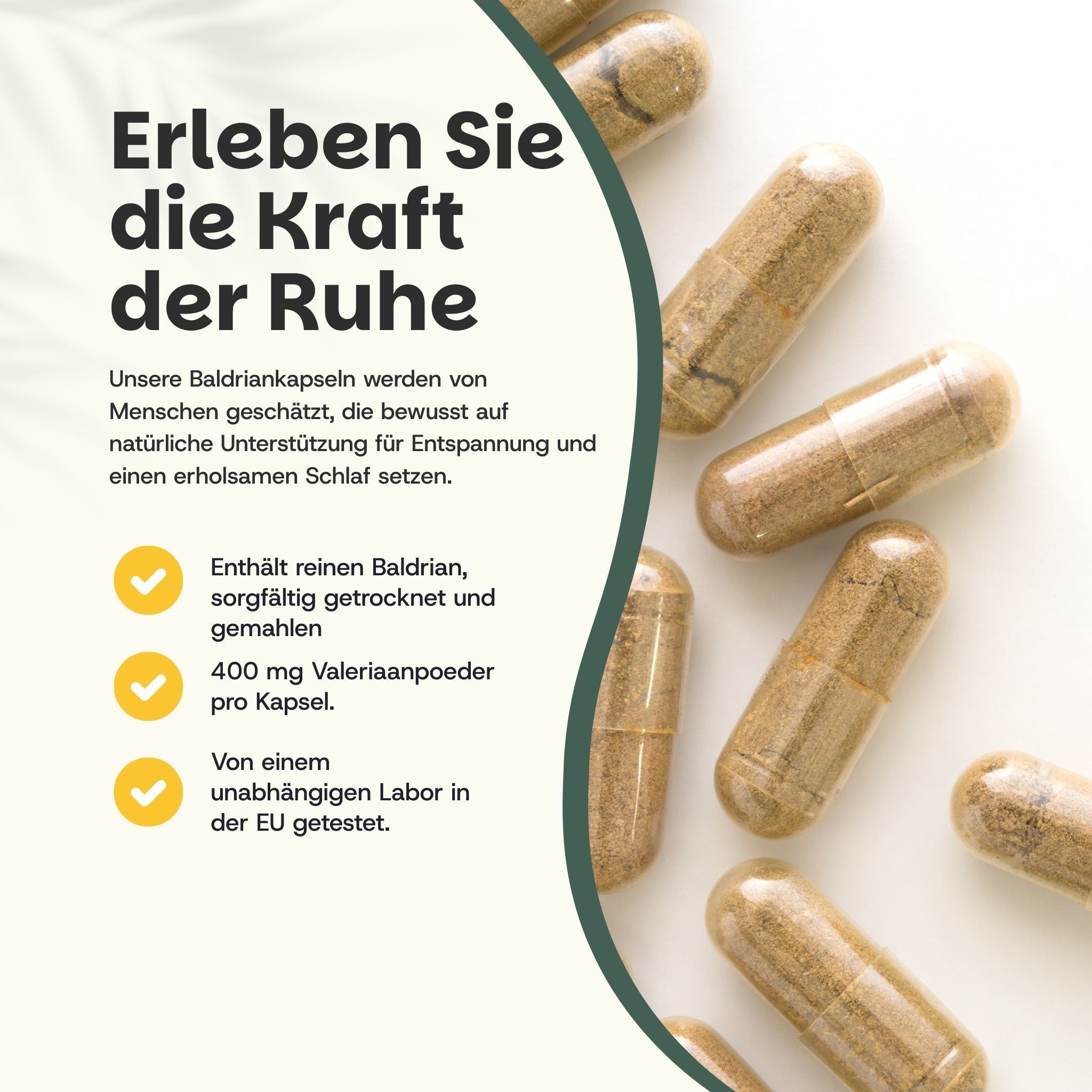 Kapseln auf weißem Hintergrund. Text: Baldriankapseln, 400 mg, Labor getestet.