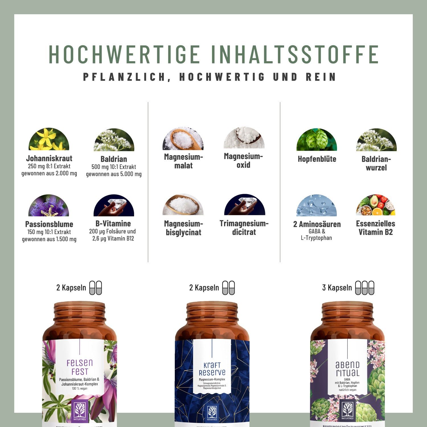 Drei Pillendosen mit Etiketten: FELSENFEST, KRAFT RESERVE, ABENDRITUAL. Daneben Abbildungen von Inhaltsstoffen. Text: Hochwertige Inhaltsstoffe.