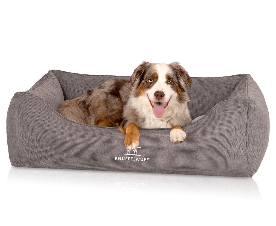 Hund liegt in grauem orthopädischen Hundebett. Rechteckige Form mit erhöhten Seiten. Logo "Knuffelwuff" sichtbar.