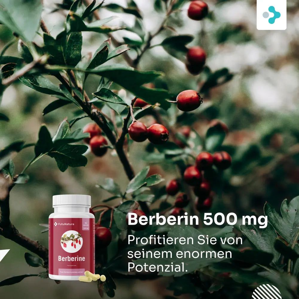 Flasche mit Berberin neben Zweig mit roten Beeren. Text: Berberin 500 mg. Profitieren Sie von seinem enormen Potenzial.