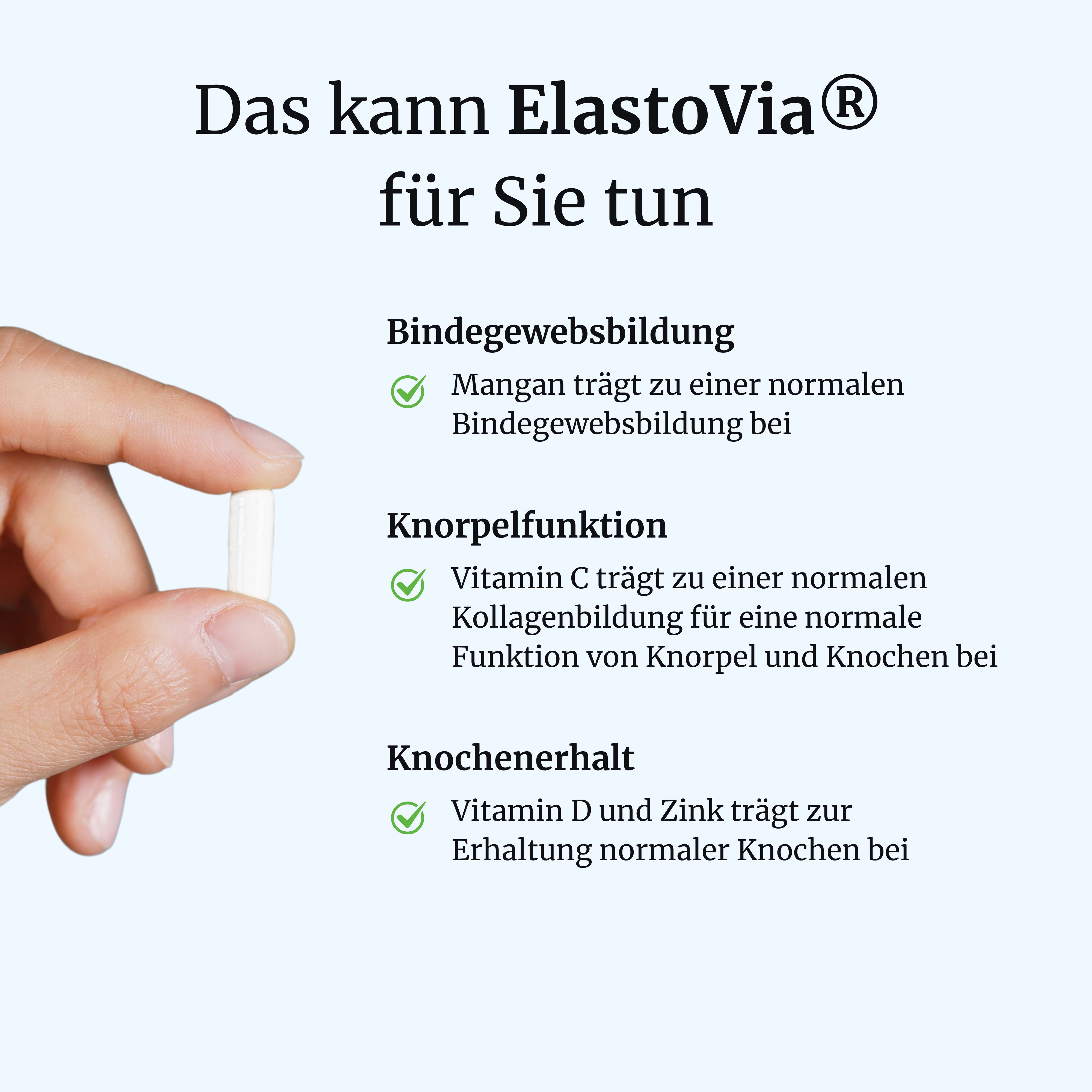 FORTEA® ElastoVia® intens – Sehnen & Bänder