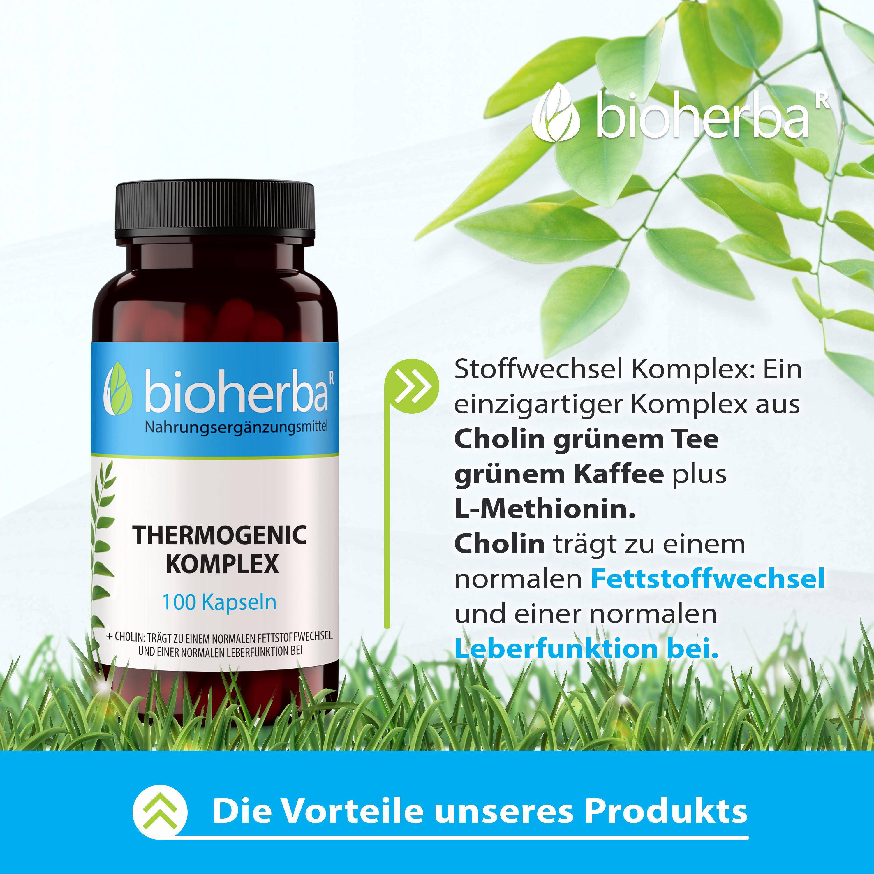 Bioherba Thermogenic Komplex Kapseln