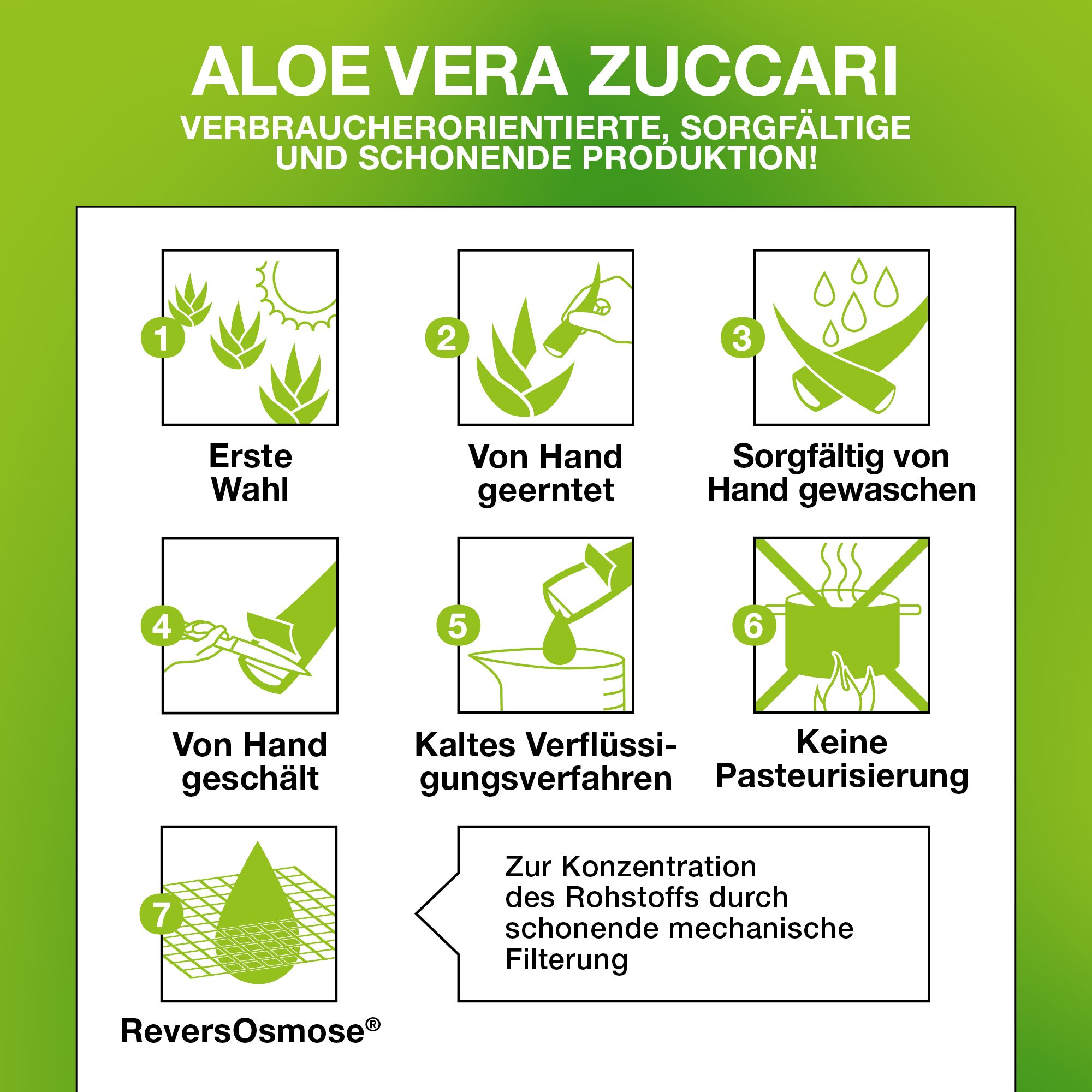 Grafik mit Schritten zur Herstellung von Aloe Vera ZUCCARI. Schritte: Auswahl, Ernte, Waschen, Schneiden, Kaltverflüssigung, keine Pasteurisierung, ReversOsmose.