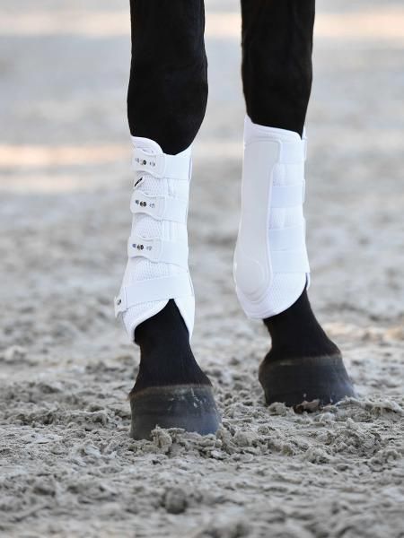 Gamaschen DRESSAGE-PRO-MESH