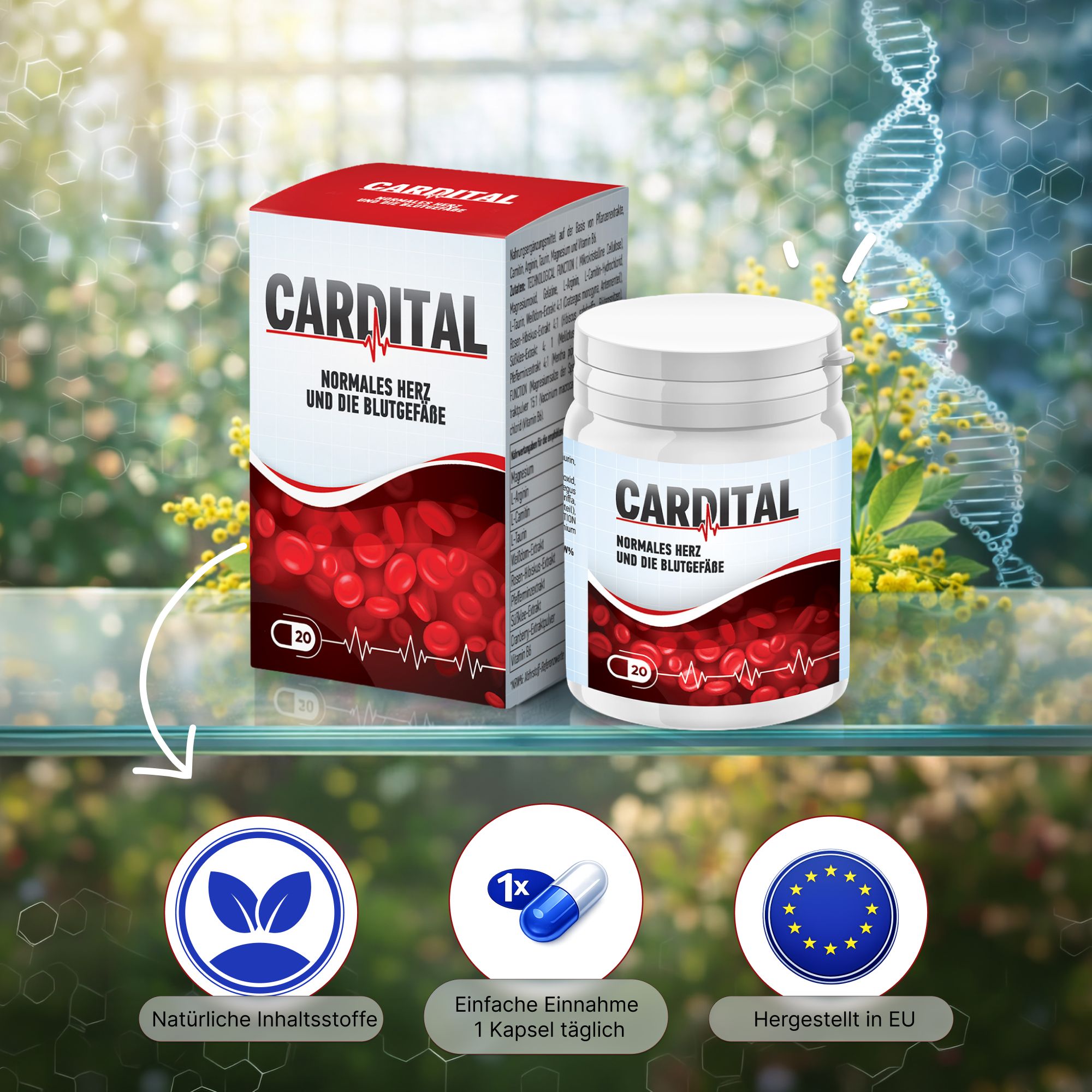 Cardital Nahrungsergnzungsmittel  Cranberry-extrakt, Magnesium, L-Arginin