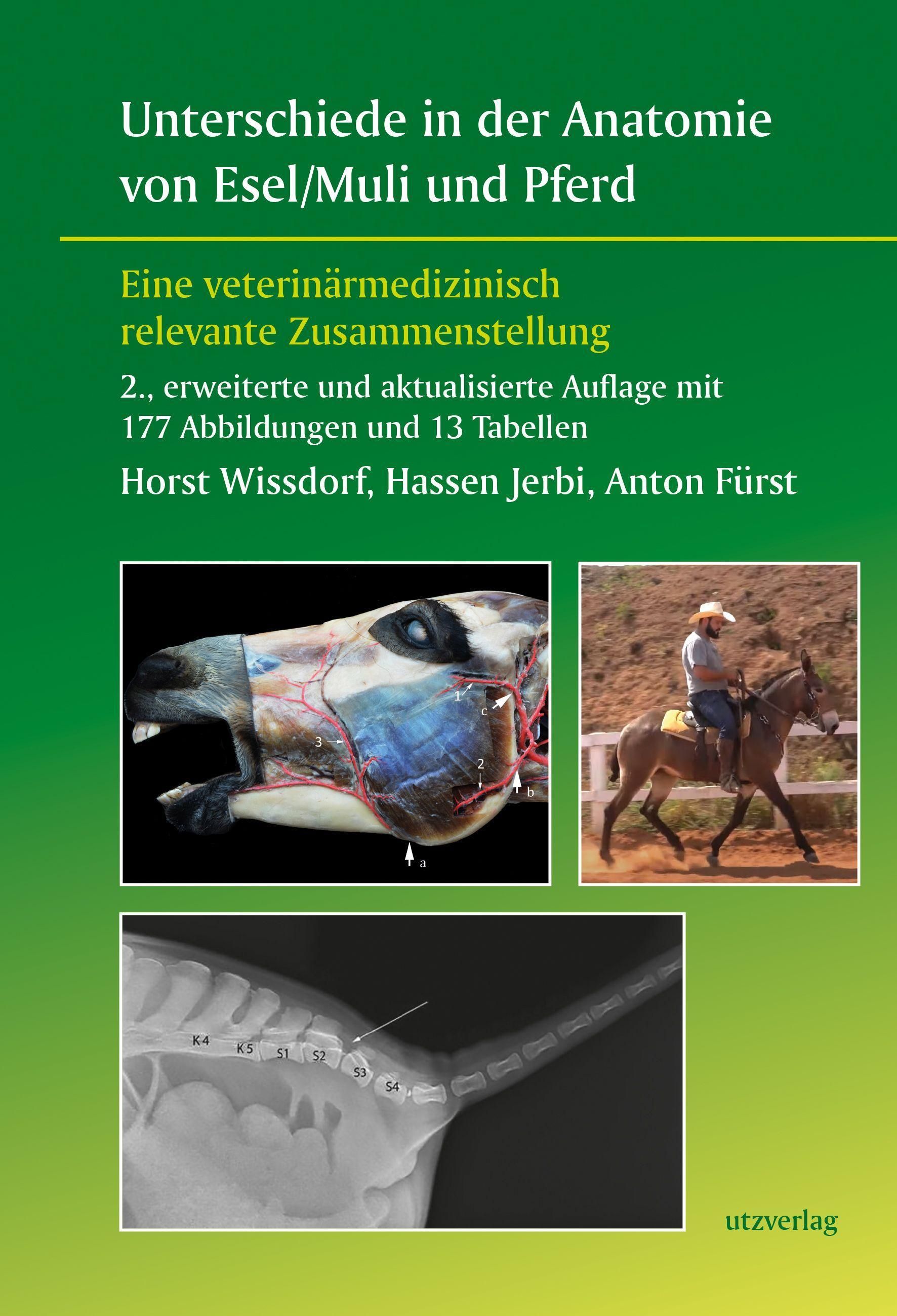 Unterschiede in der Anatomie von Esel/Muli und Pferd Eine veterinärmedizinisch relevante Zusammen...