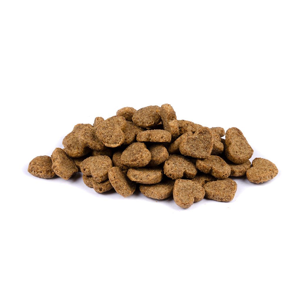 Brit Care Cat - Superfruits - Insect