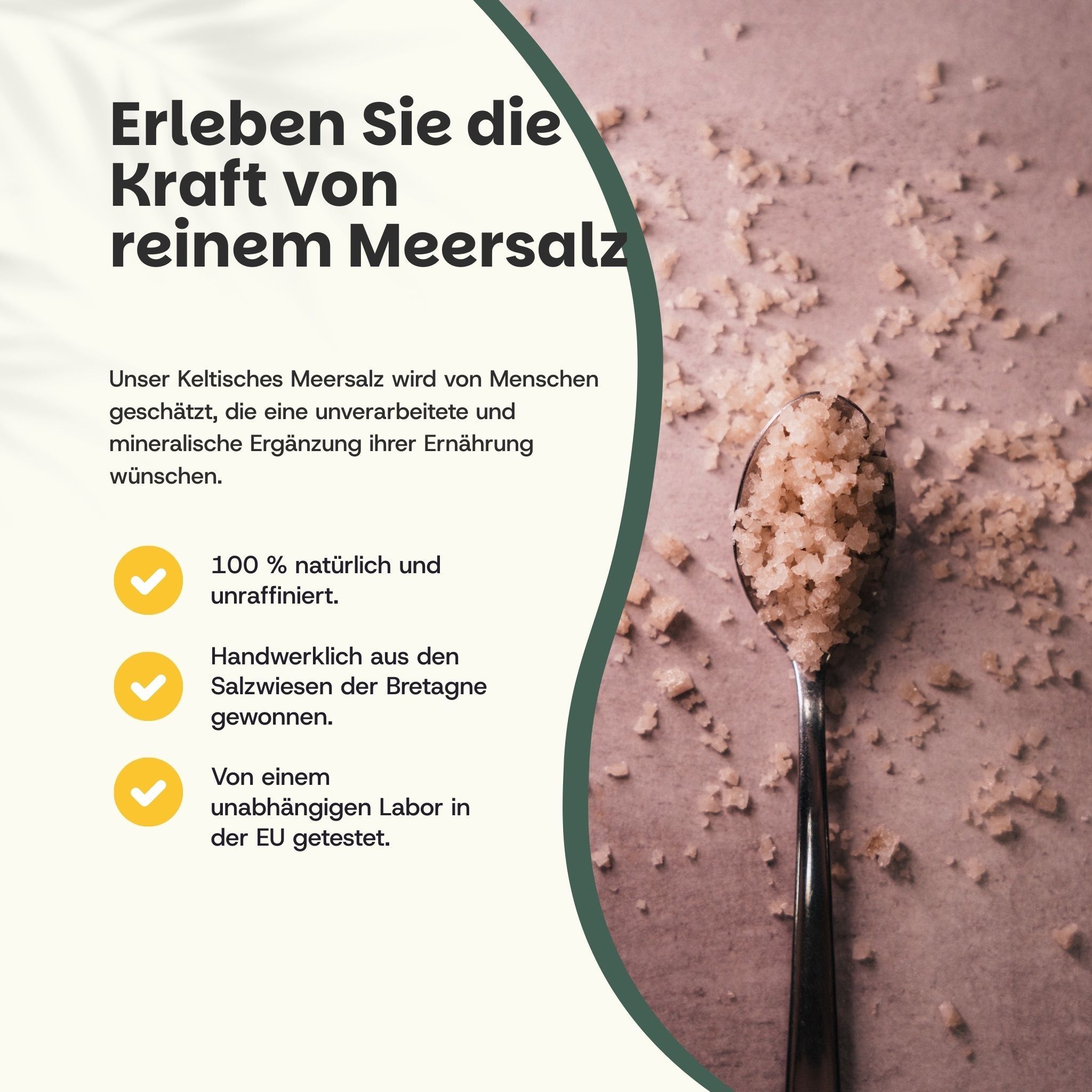 Löffel mit grobem Meersalz. Text: Erleben Sie die Kraft von reinem Meersalz. 100% natürlich und unraffiniert, handwerklich gewonnen.