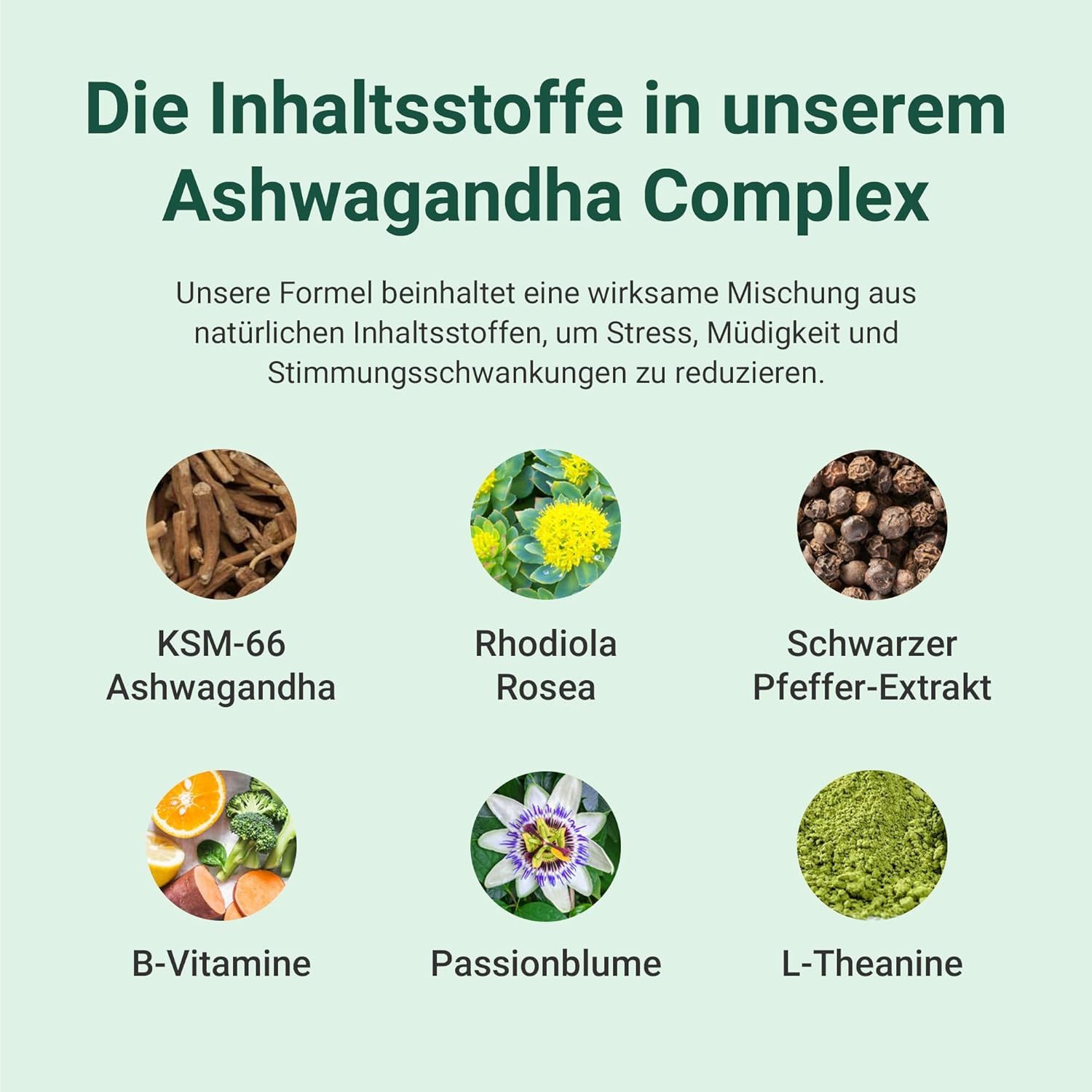 Sechs Abbildungen von Inhaltsstoffen. Text: KSM-66 Ashwagandha, Rhodiola Rosea, Schwarzer Pfeffer-Extrakt, B-Vitamine, Passionsblume, L-Theanin.