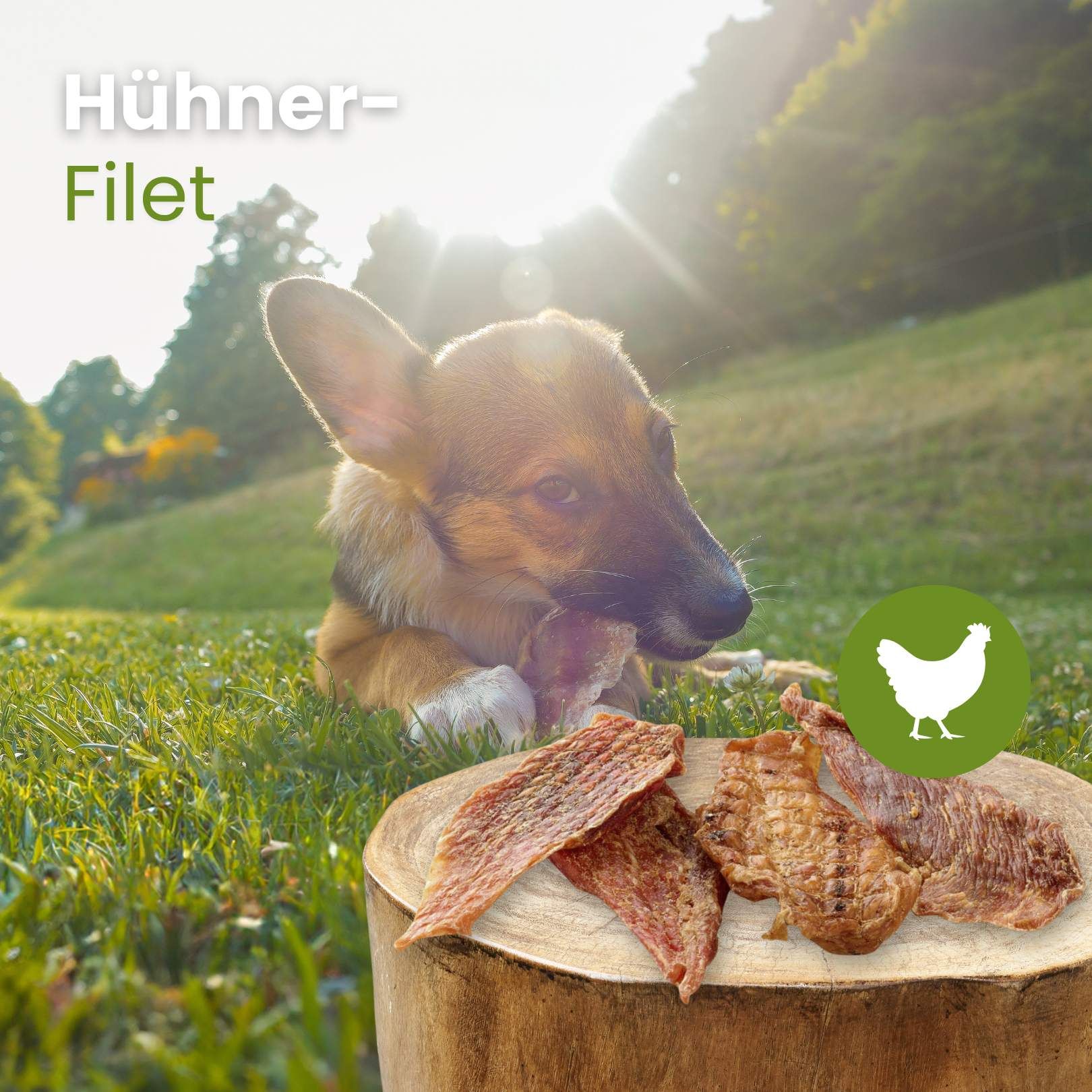 Hühnerfilet mit Pfeilen, die auf Merkmale wie '100% Huhn' und 'Geringer Fettanteil' hinweisen.