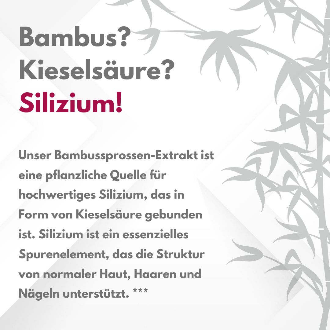 APOmia® inner BEAUTY | Haut-Haare-Nägel Komplex | Bambus-Extrakt (Silizium), Zink, Biotin & Selen