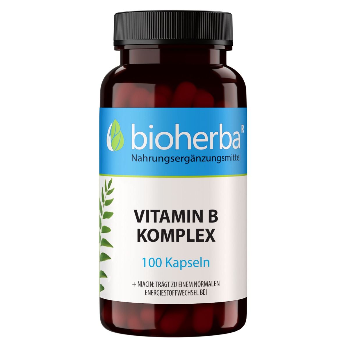 Braune Flasche mit schwarzen Deckel. Enthält Kapseln. "Bioherba Vitamin B Komplex 100 Kapseln".