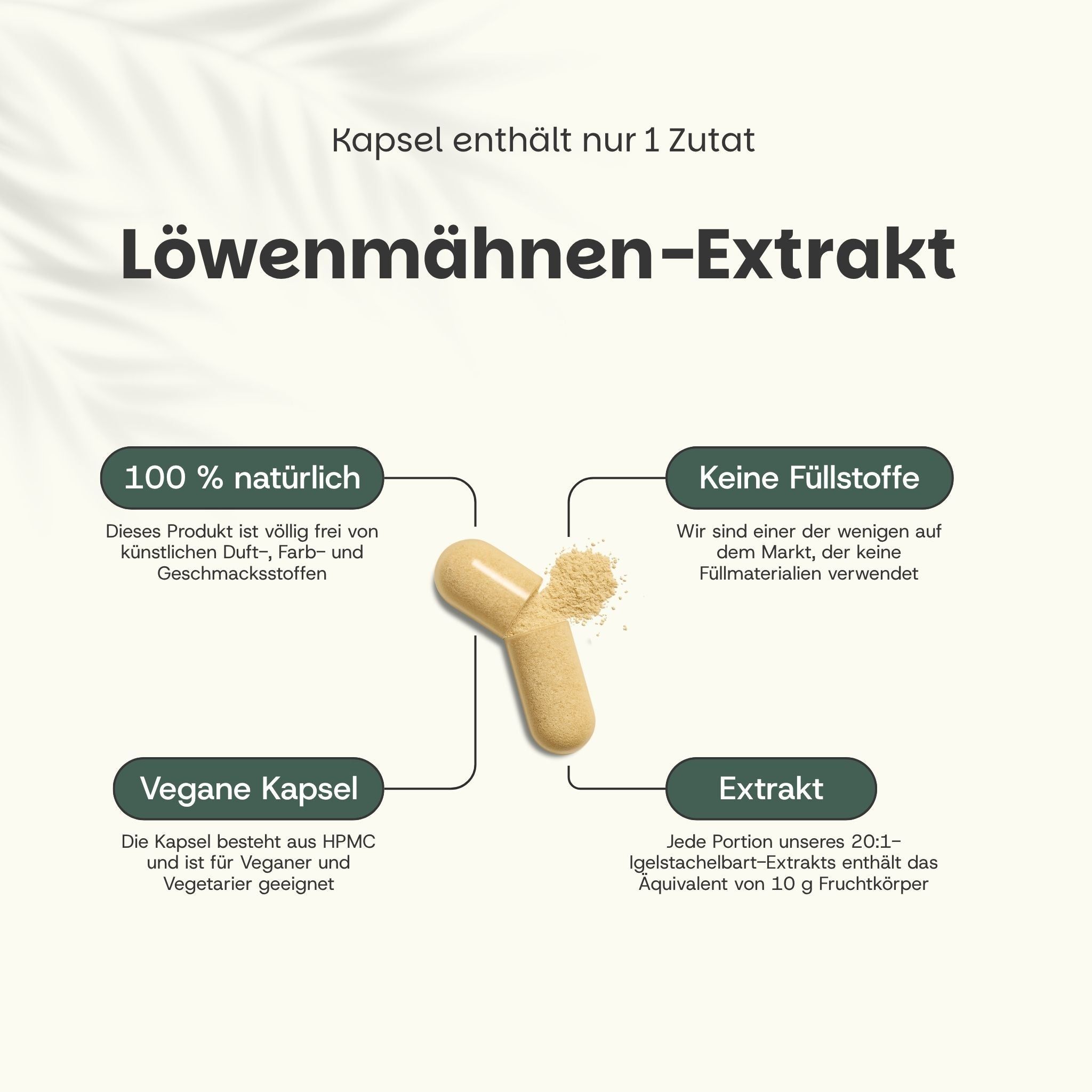 Kapsel mit Pulver. Text: Löwenmähnen-Extrakt. 100% natürlich, keine Füllstoffe, vegane Kapsel, Extrakt.