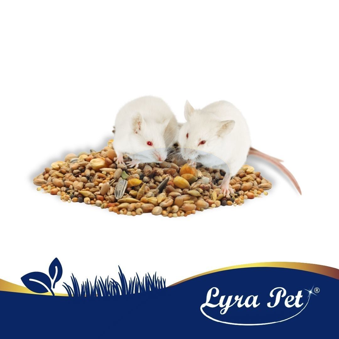 Zwei weiße Mäuse auf Nagerfutter. Lyra Pet Logo unten rechts.