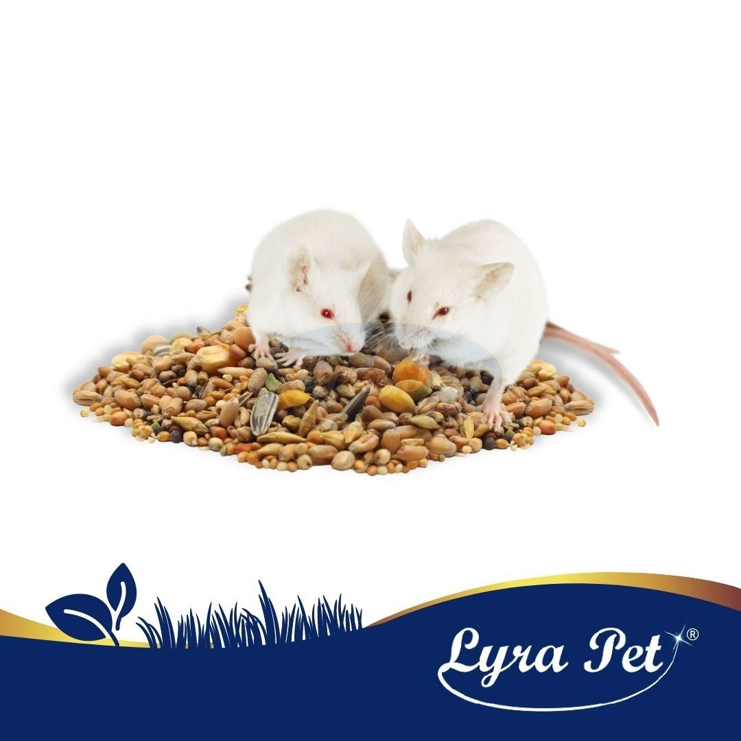 Lyra Pet® Nagerfutter Hamster Mäuse Ratten 25 kg Futter