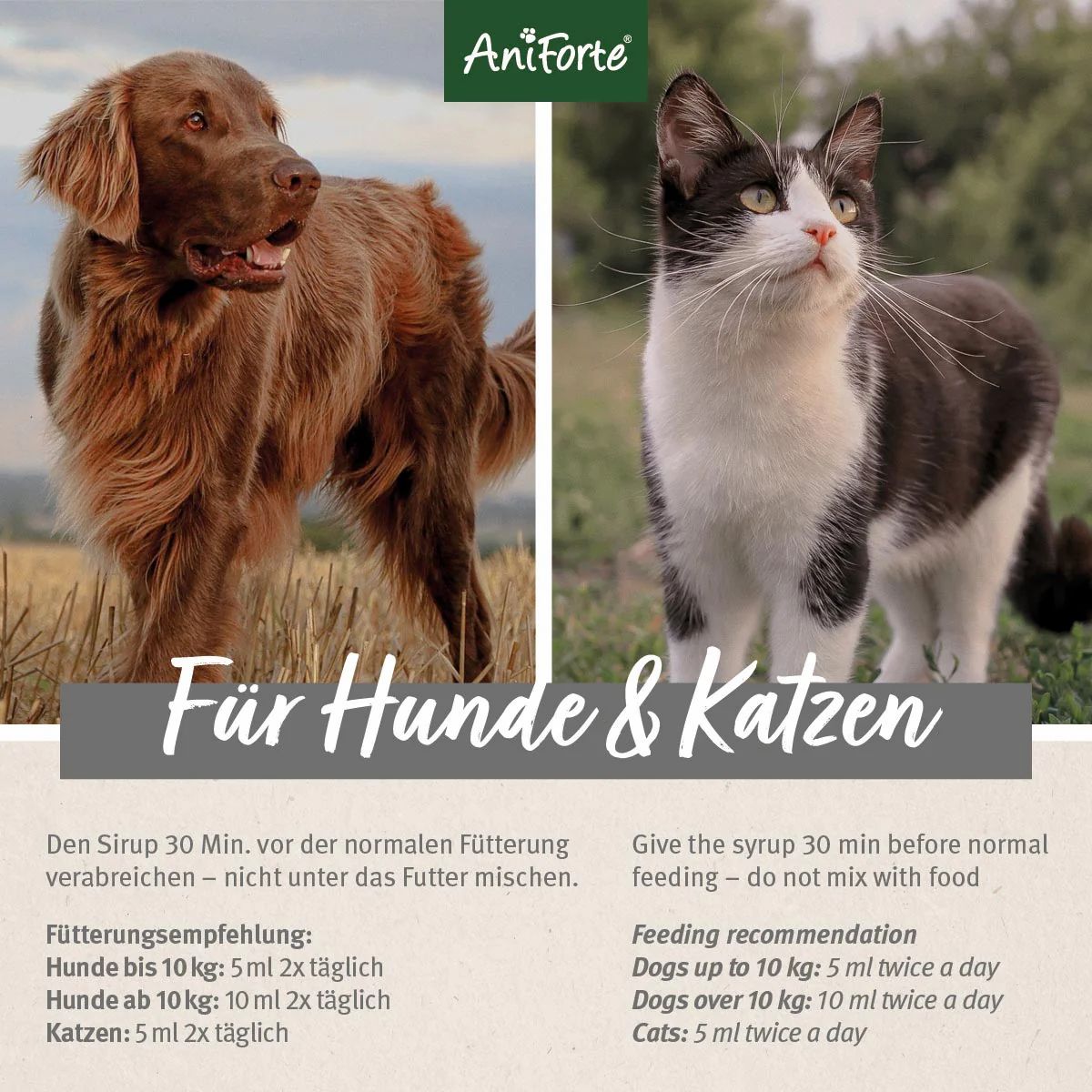 Ulmenrinde Pulver - AniForte®