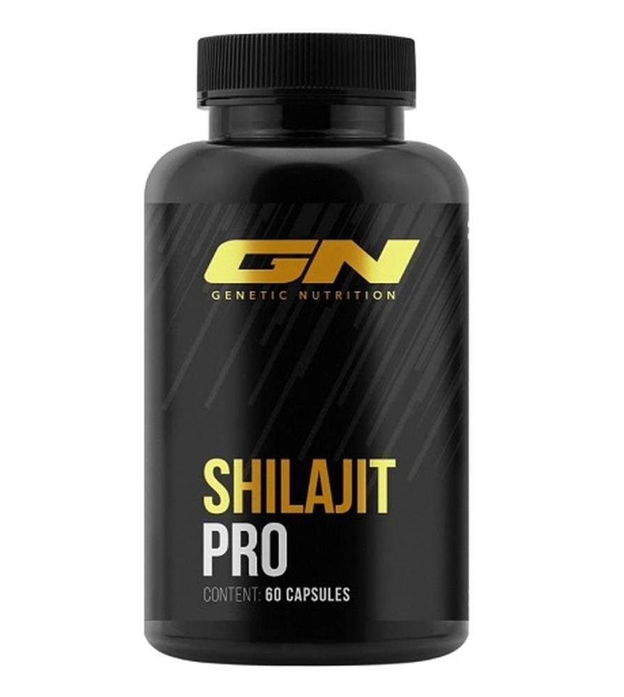GN Shilajit PRO Kapseln 0,1 kg