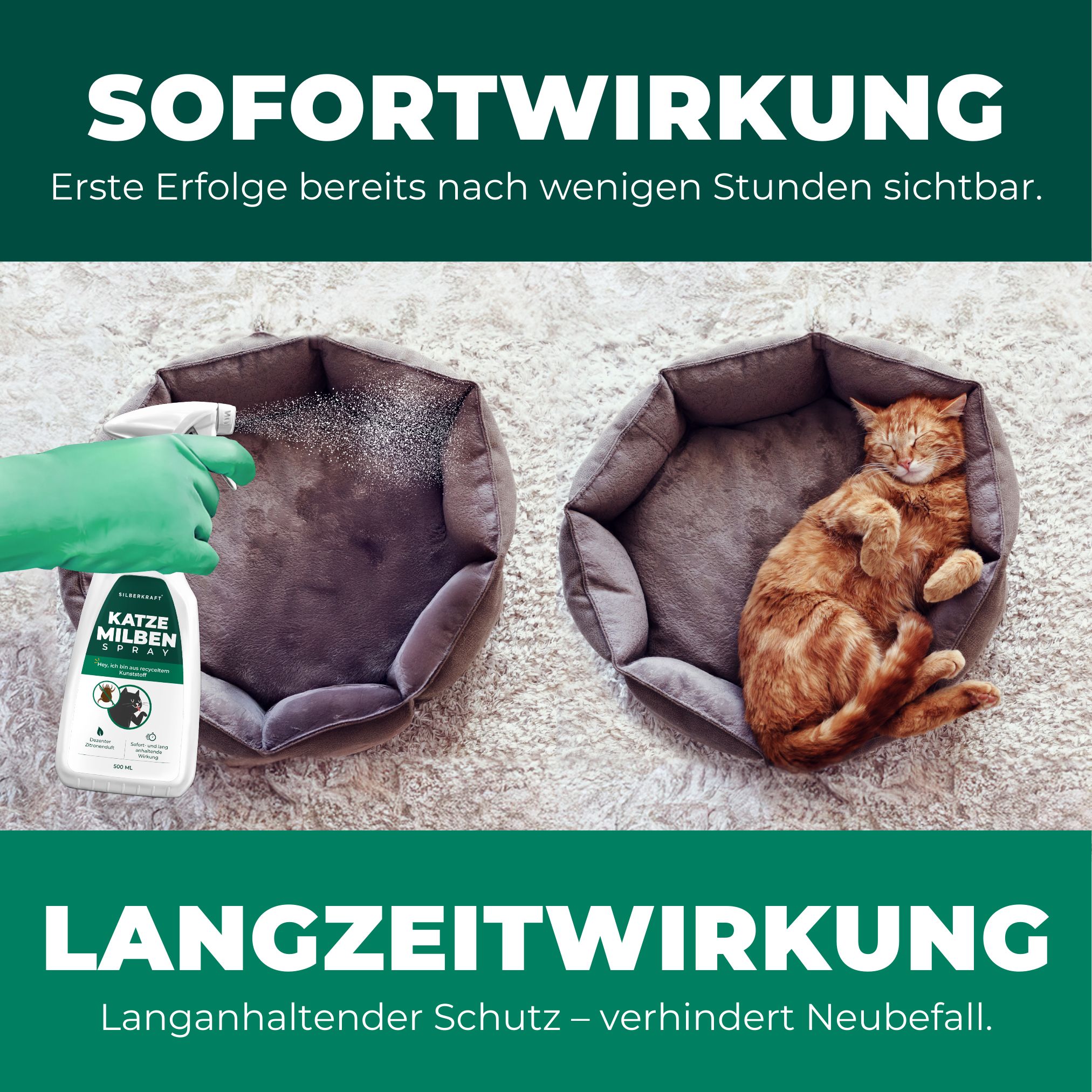 Katze liegt in Bett, daneben wird gesprüht. Text: Sofortwirkung, Langzeitwirkung. Verhindert Neubefall.