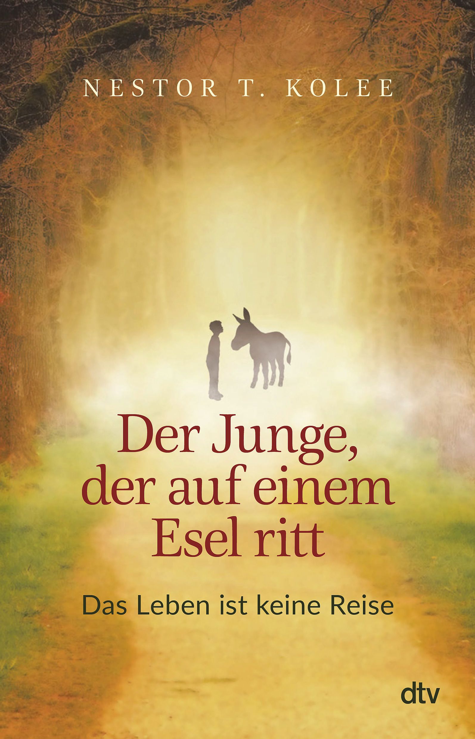 Buchcover mit Titel "Der Junge, der auf einem Esel ritt". Autor: Nestor T. Kolee. Verlag: dtv. Bild: Junge und Esel auf Weg.